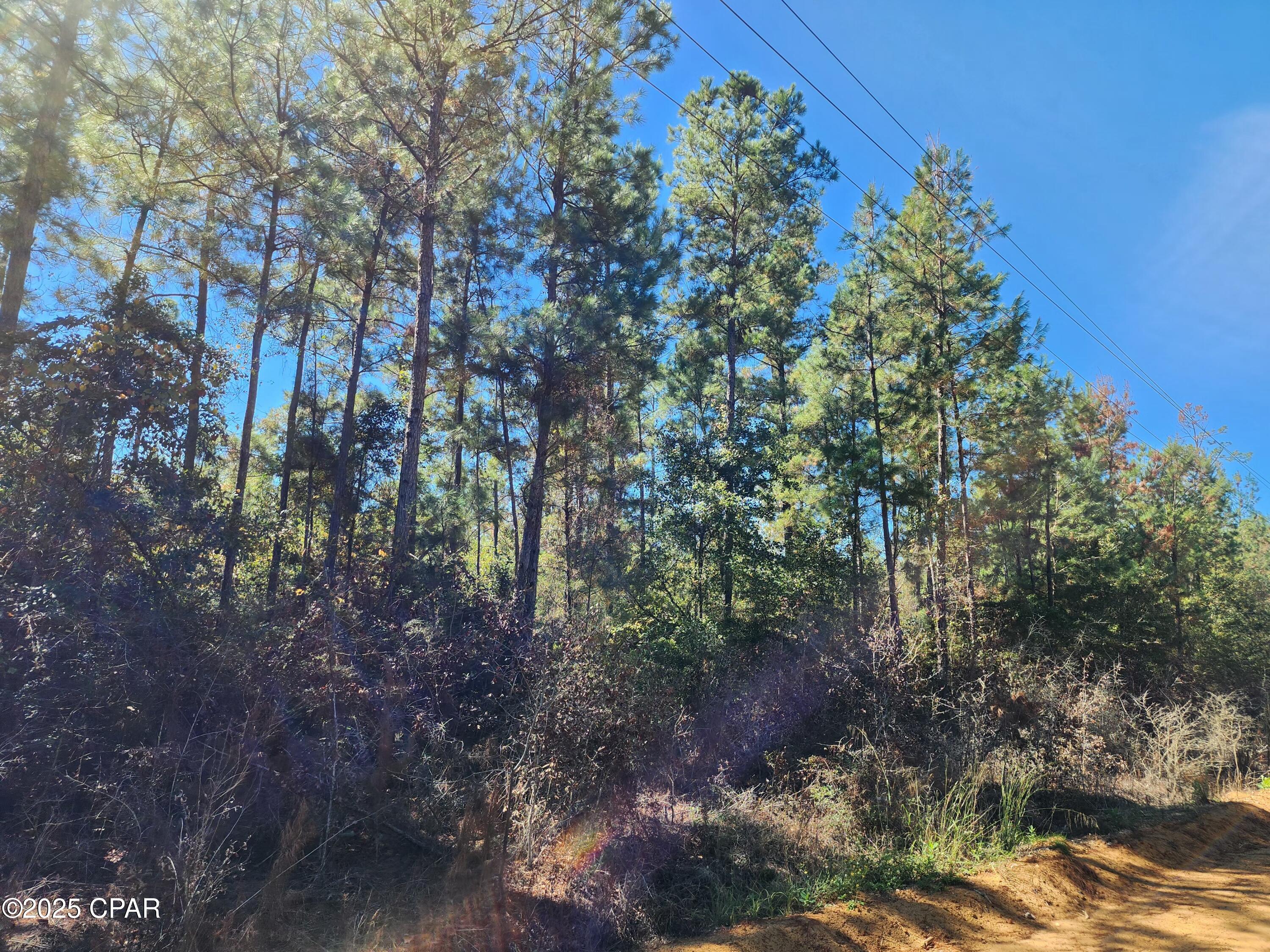 Image 29 For 0000 Pineridge Church Road