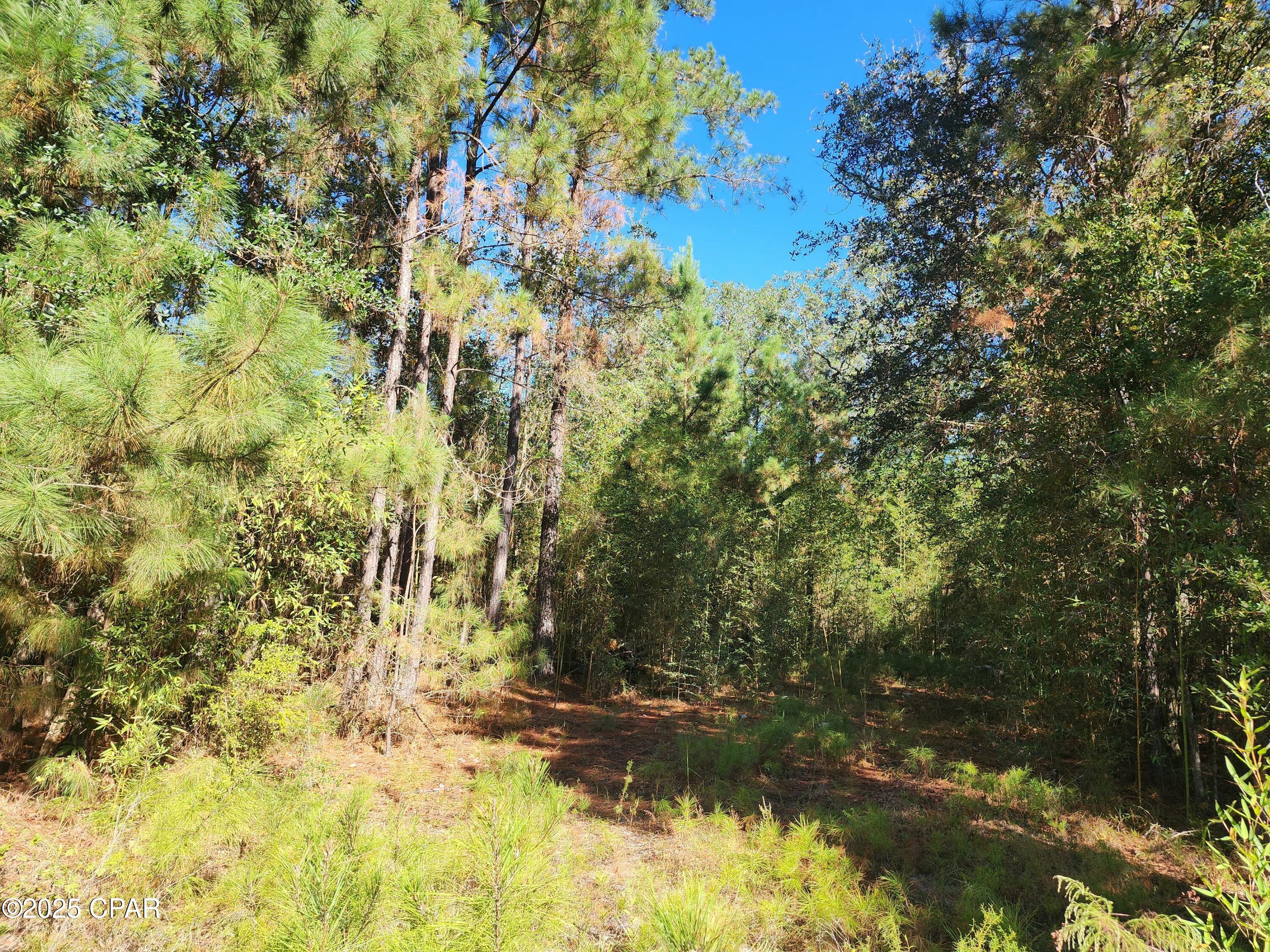 Image 3 For 0000 Pineridge Church Road