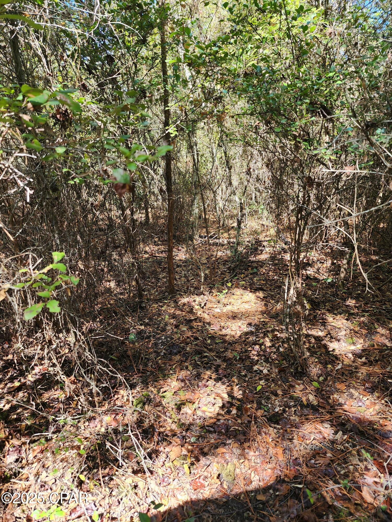 Image 30 For 0000 Pineridge Church Road