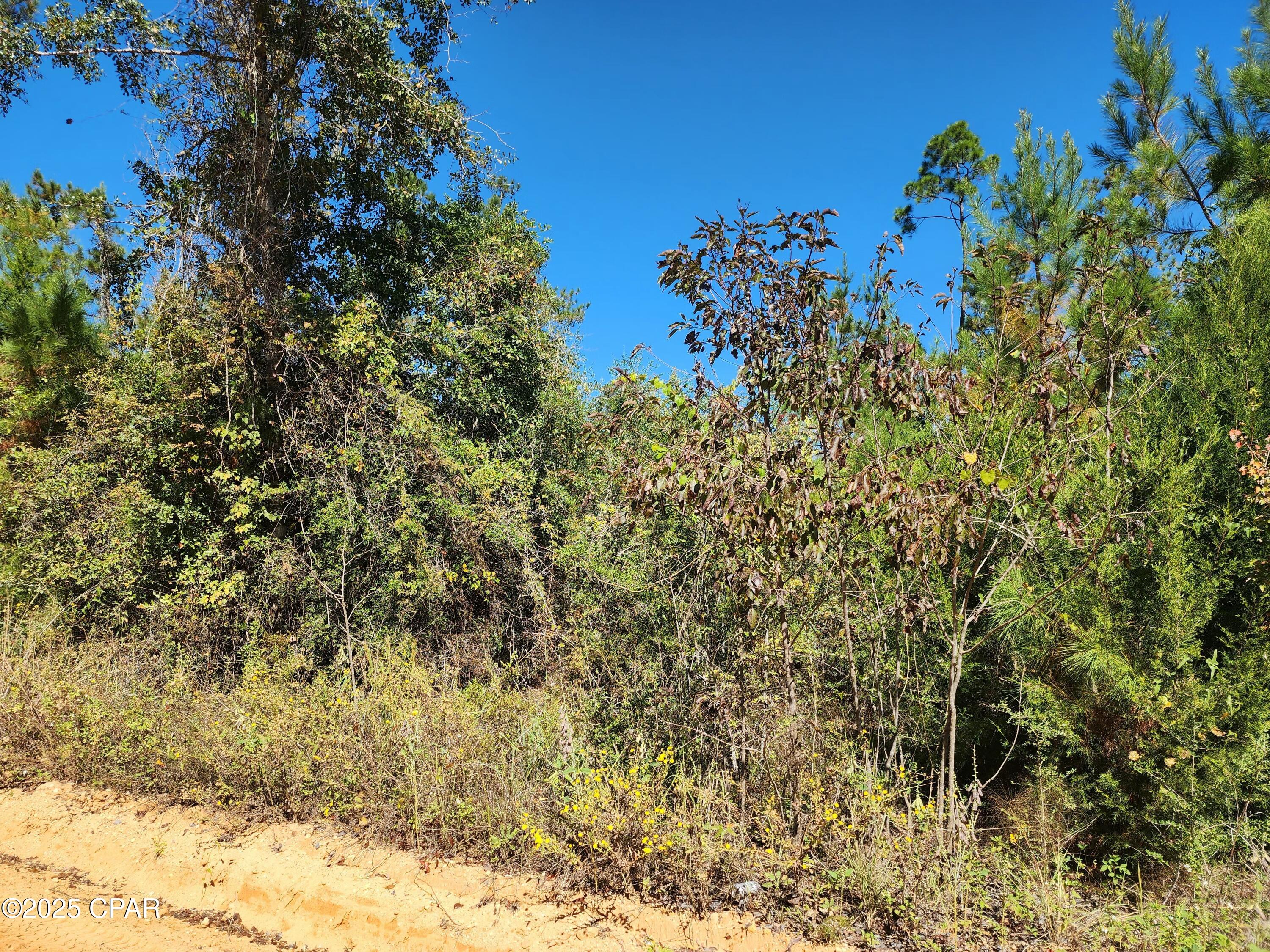 Image 31 For 0000 Pineridge Church Road