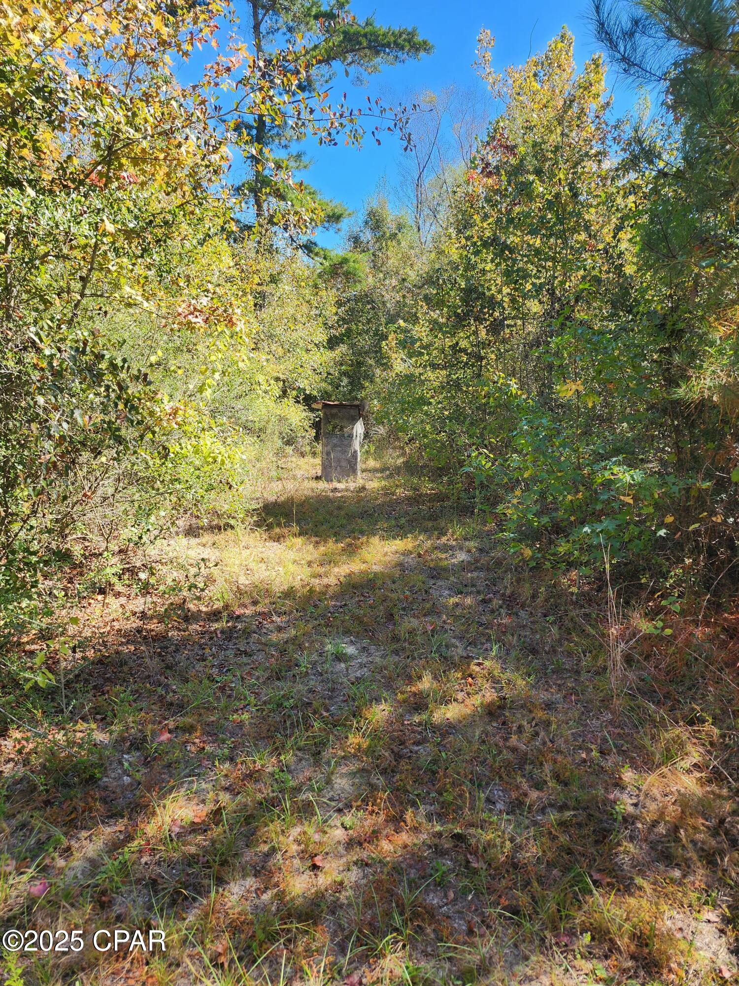 Image 32 For 0000 Pineridge Church Road