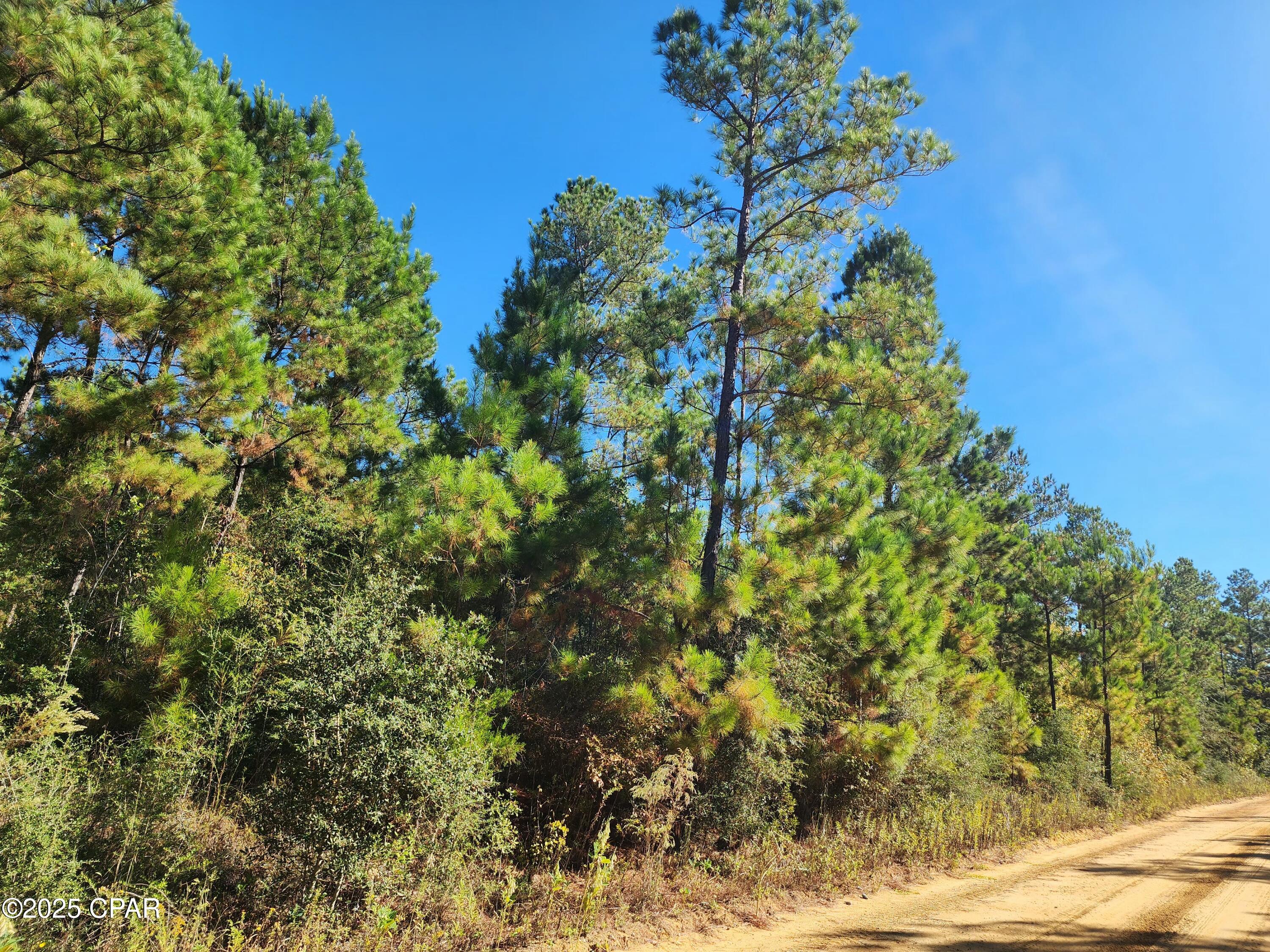 Image 4 For 0000 Pineridge Church Road