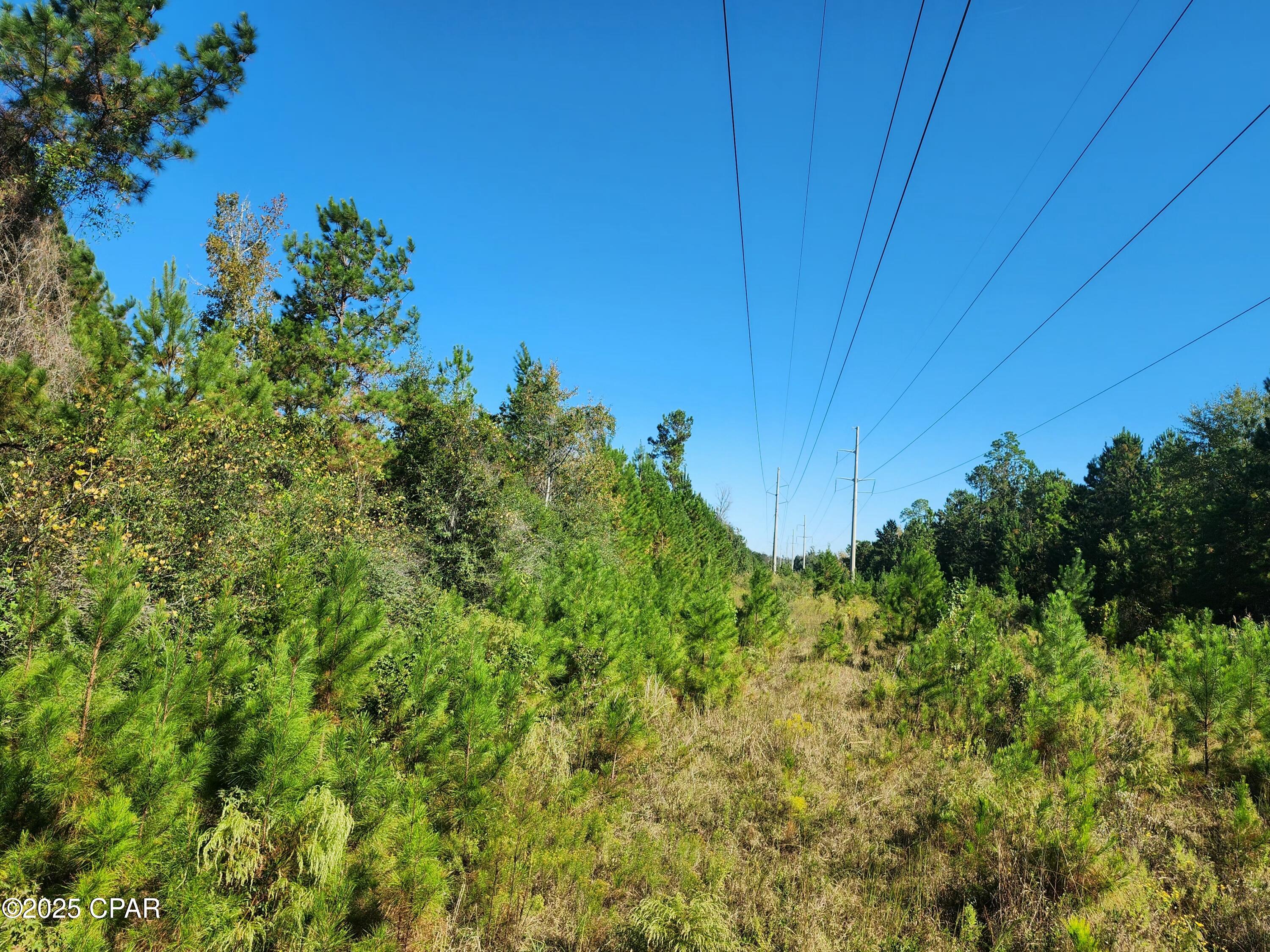 Image 5 For 0000 Pineridge Church Road