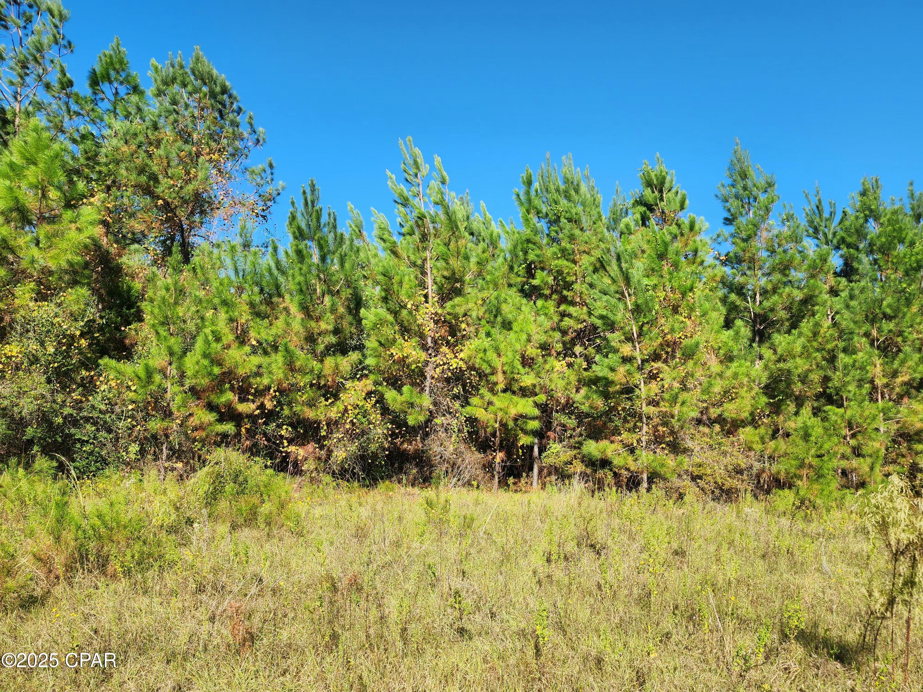 Image 6 For 0000 Pineridge Church Road