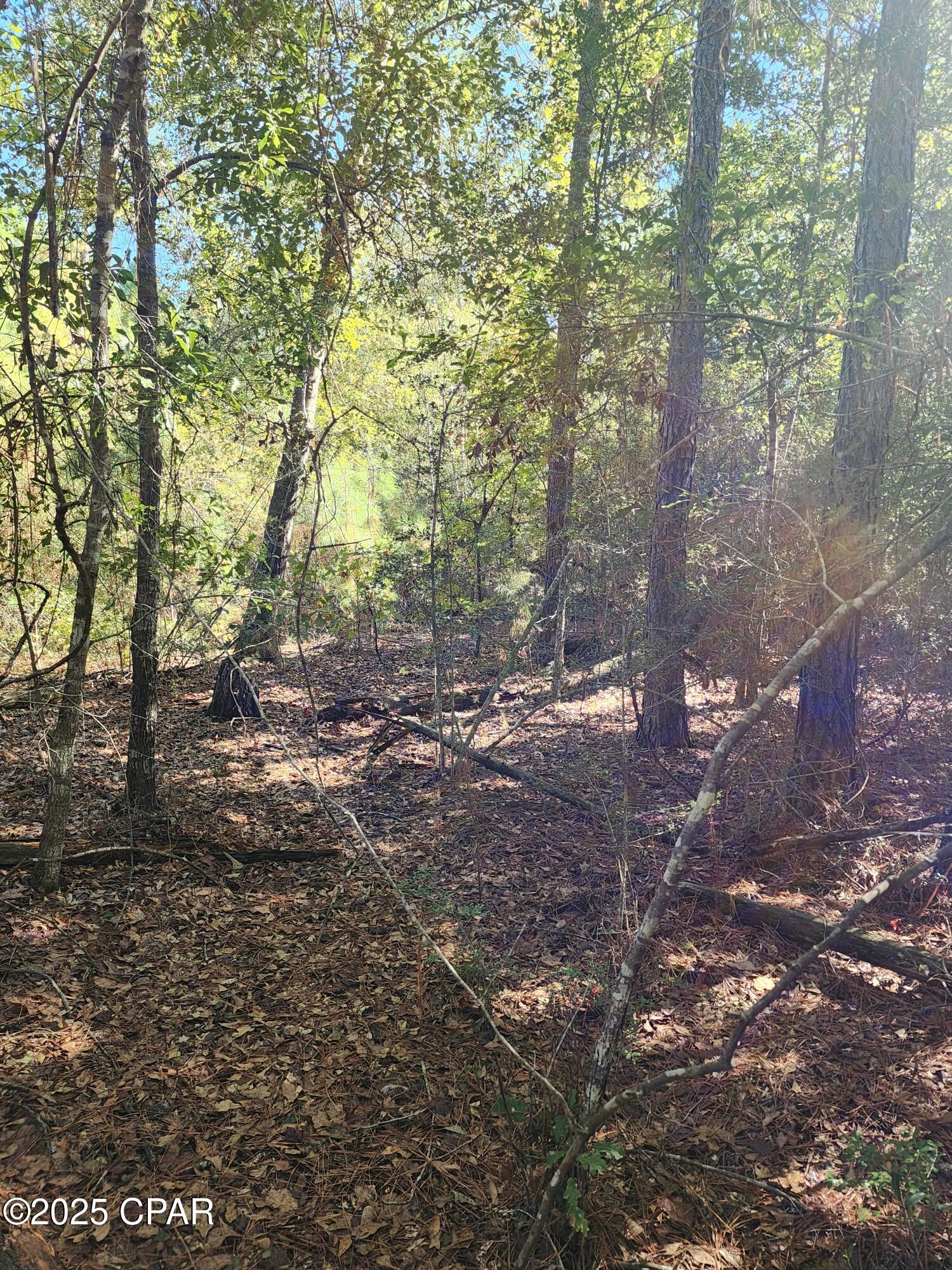 Image 8 For 0000 Pineridge Church Road