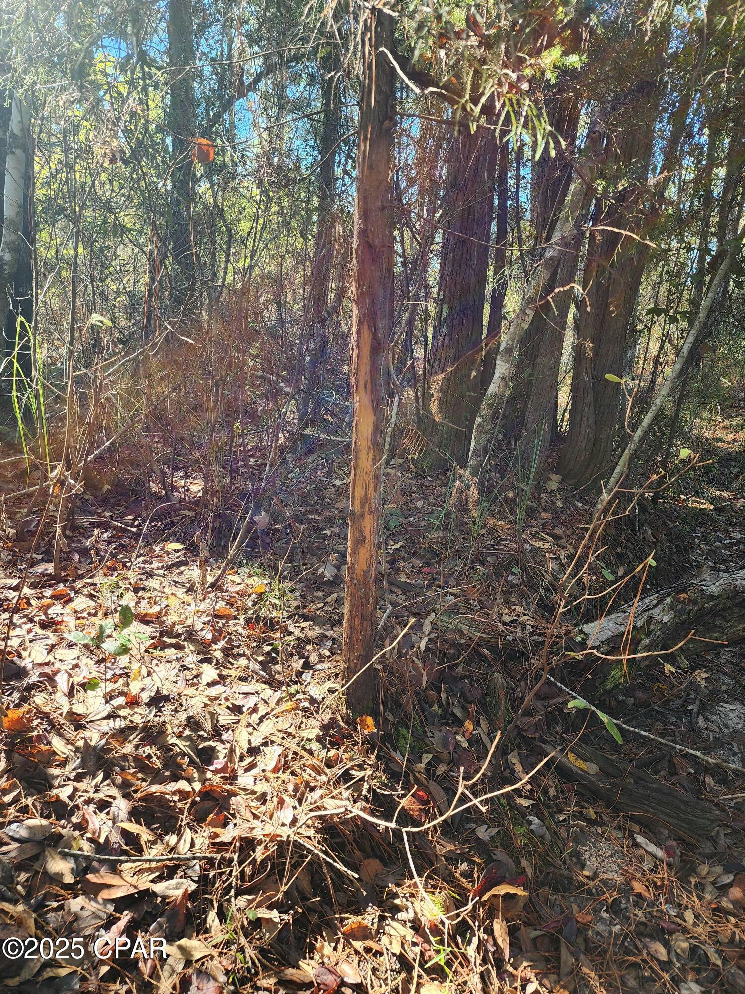 Image 9 For 0000 Pineridge Church Road