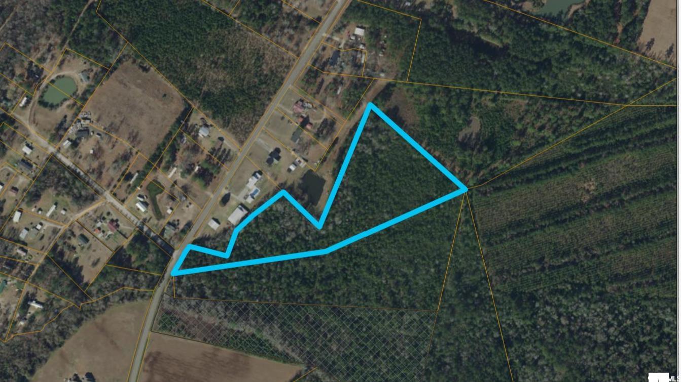 TBDParcel Amber Ln. Galivants Ferry, SC 29544