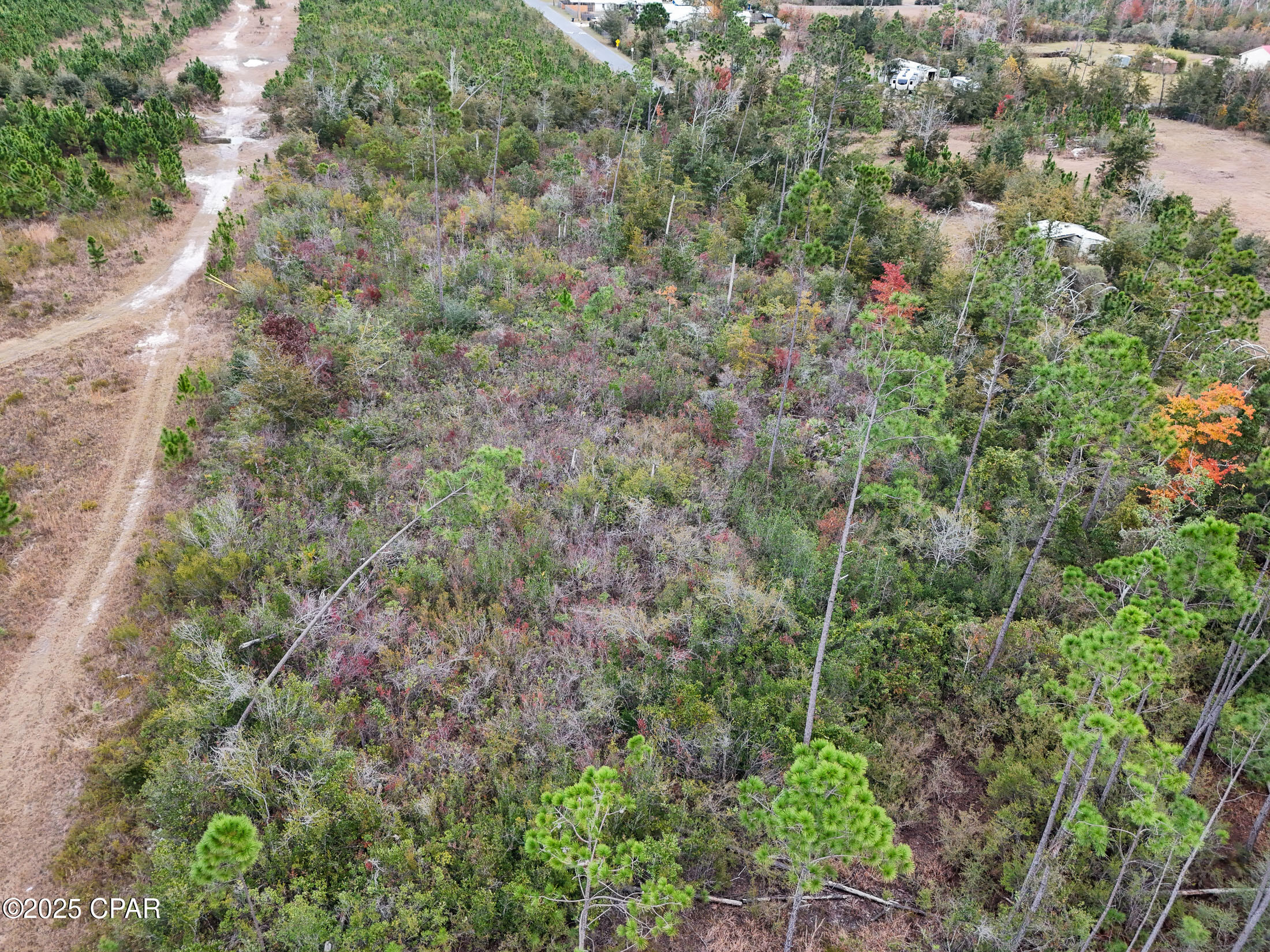 Image 11 For 0 Berthe  