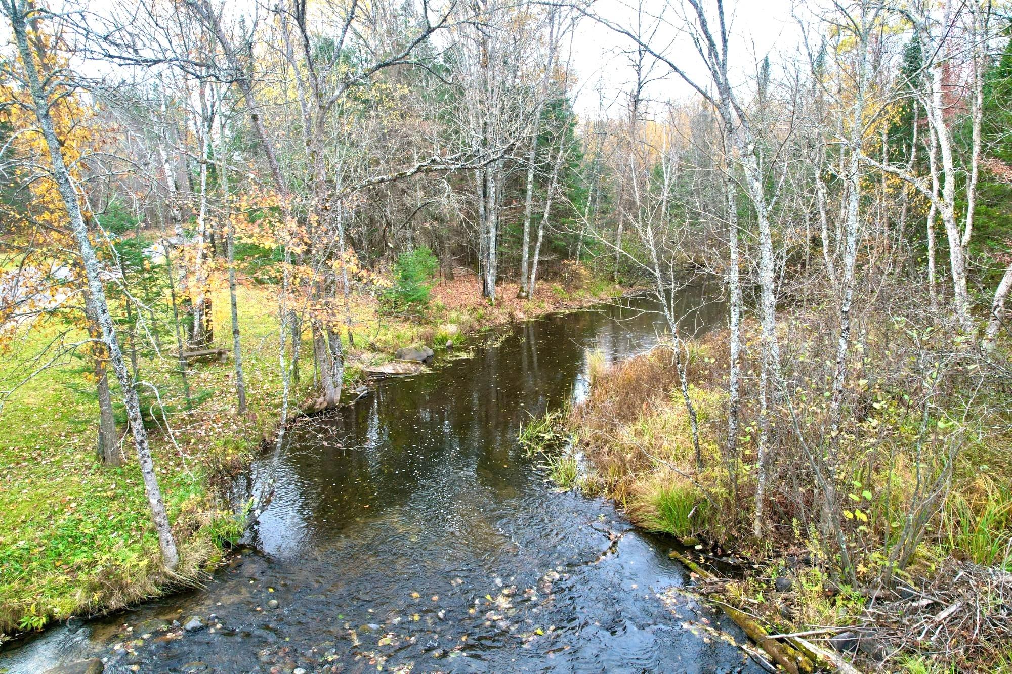 Undocumented Lake Property 1458 Woodlawn Rd Photo 21