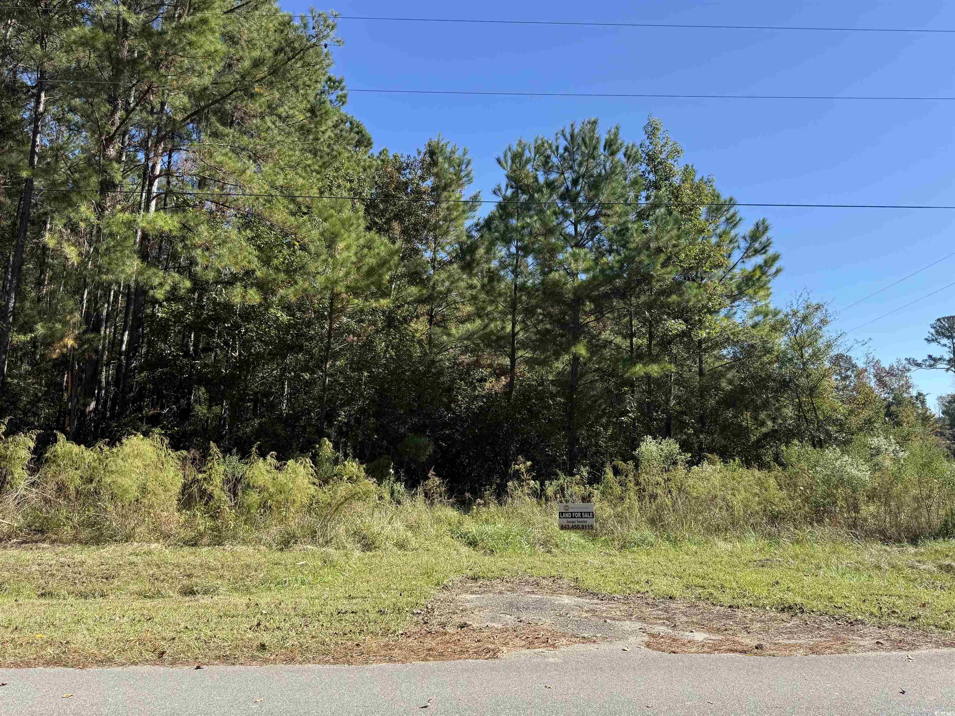 TBD Tharpe Rd. Little River, SC 29566