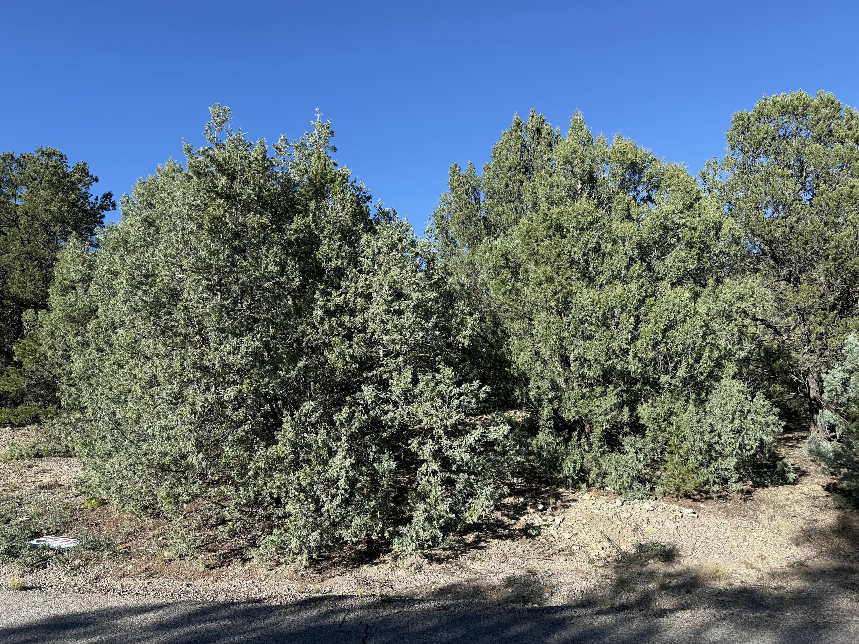 Homes for sale in Tijeras, NM | 367 Thunderbird Ln, Tijeras, NM 87059 | MLS# 1093346