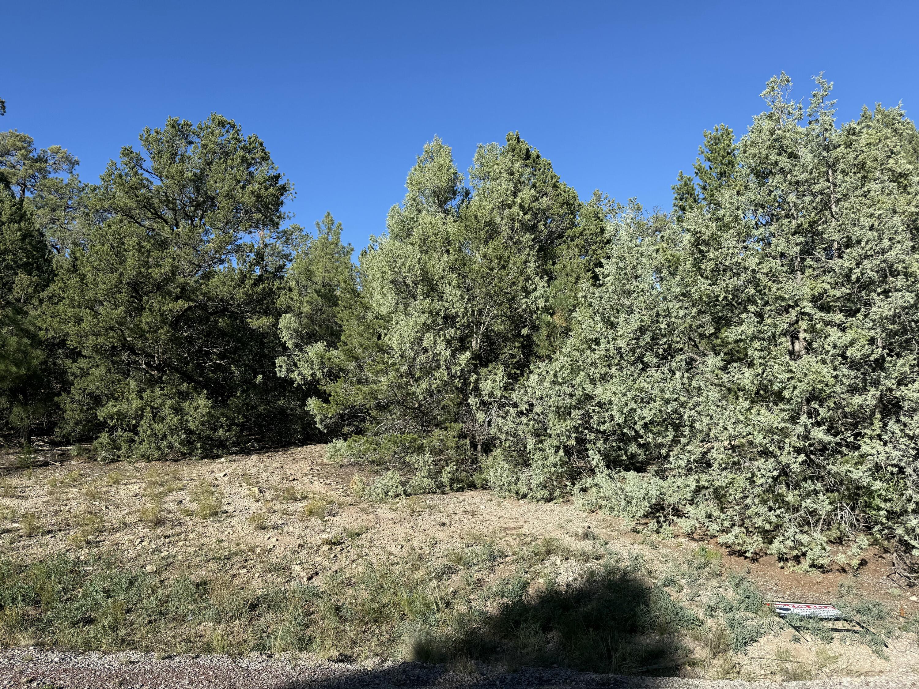 Homes for sale in Tijeras, NM | 367 Thunderbird Ln, Tijeras, NM 87059 | MLS# 1093346