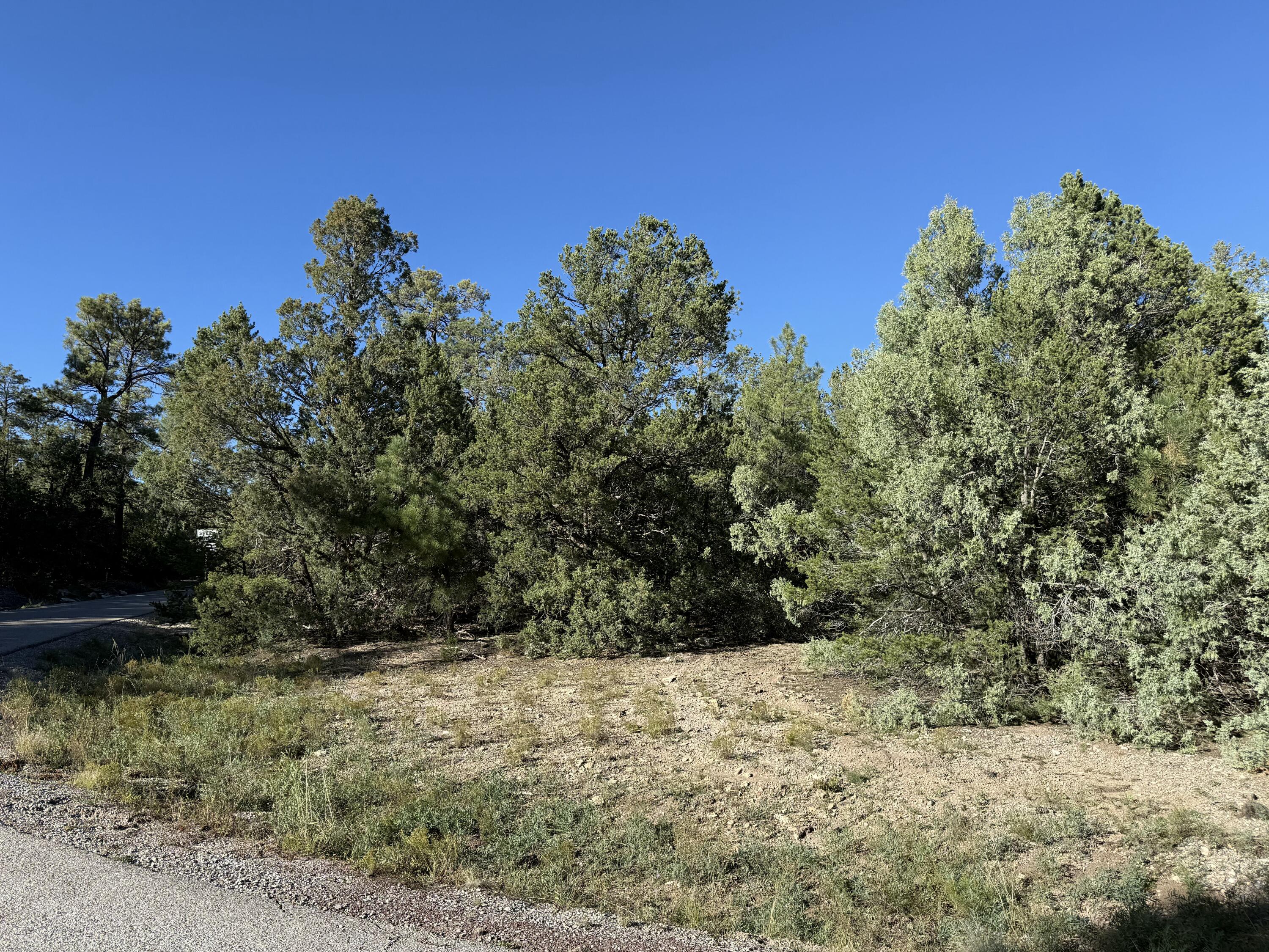 Homes for sale in Tijeras, NM | 367 Thunderbird Ln, Tijeras, NM 87059 | MLS# 1093346