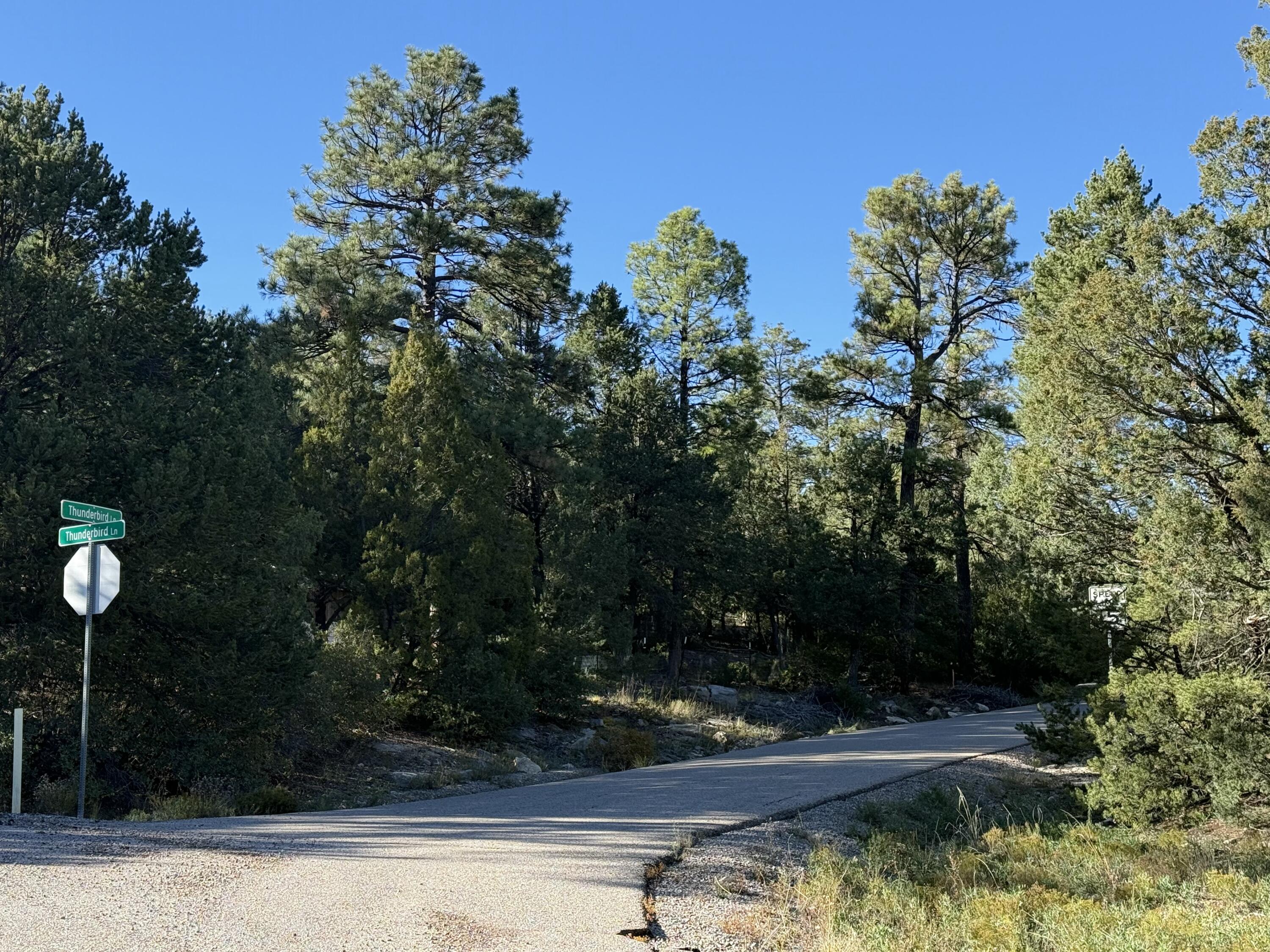 Homes for sale in Tijeras, NM | 367 Thunderbird Ln, Tijeras, NM 87059 | MLS# 1093346