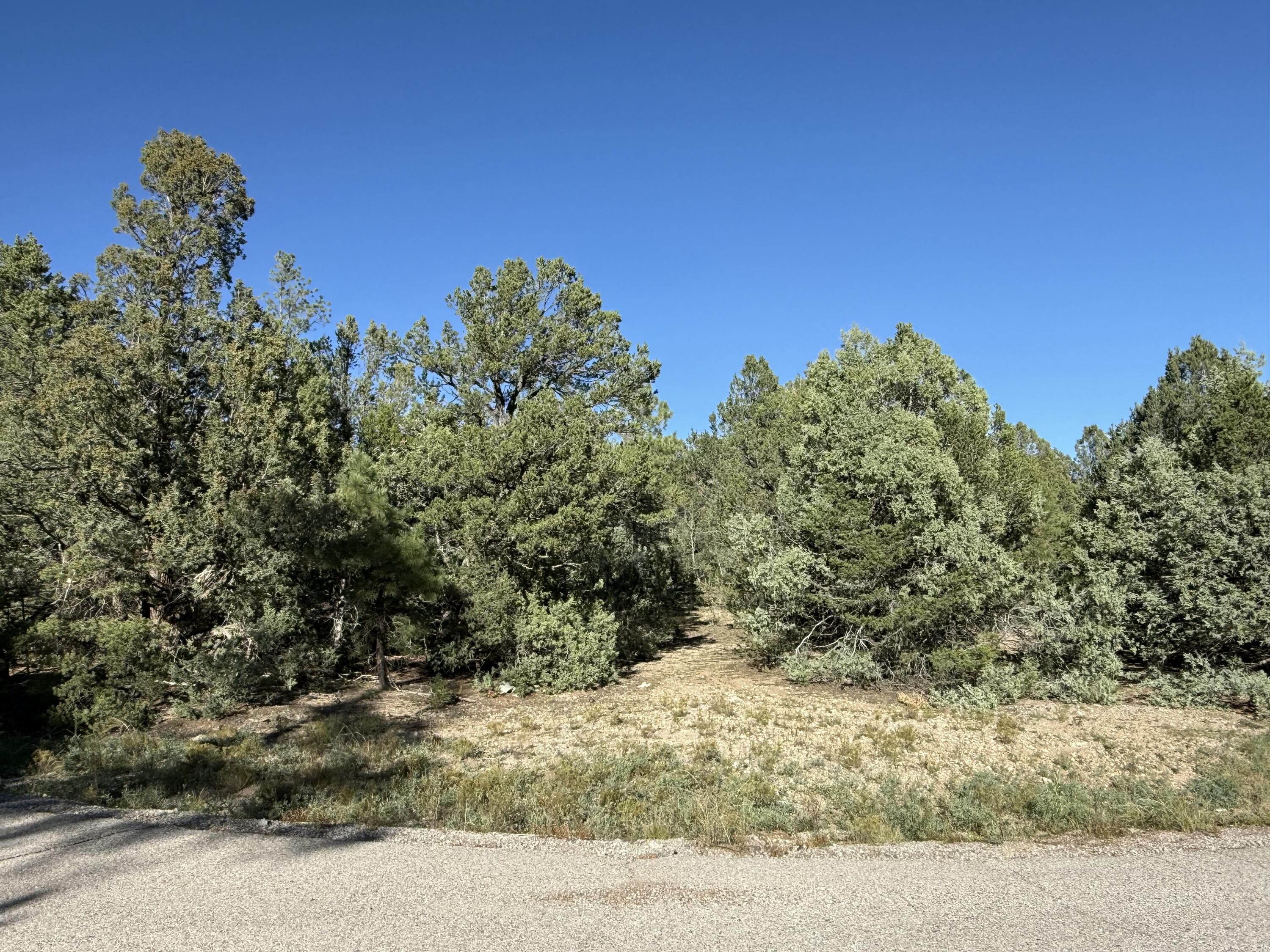 Homes for sale in Jemez Springs, NM | Fir Pl, Jemez Springs, NM 87025 | MLS# 1093348