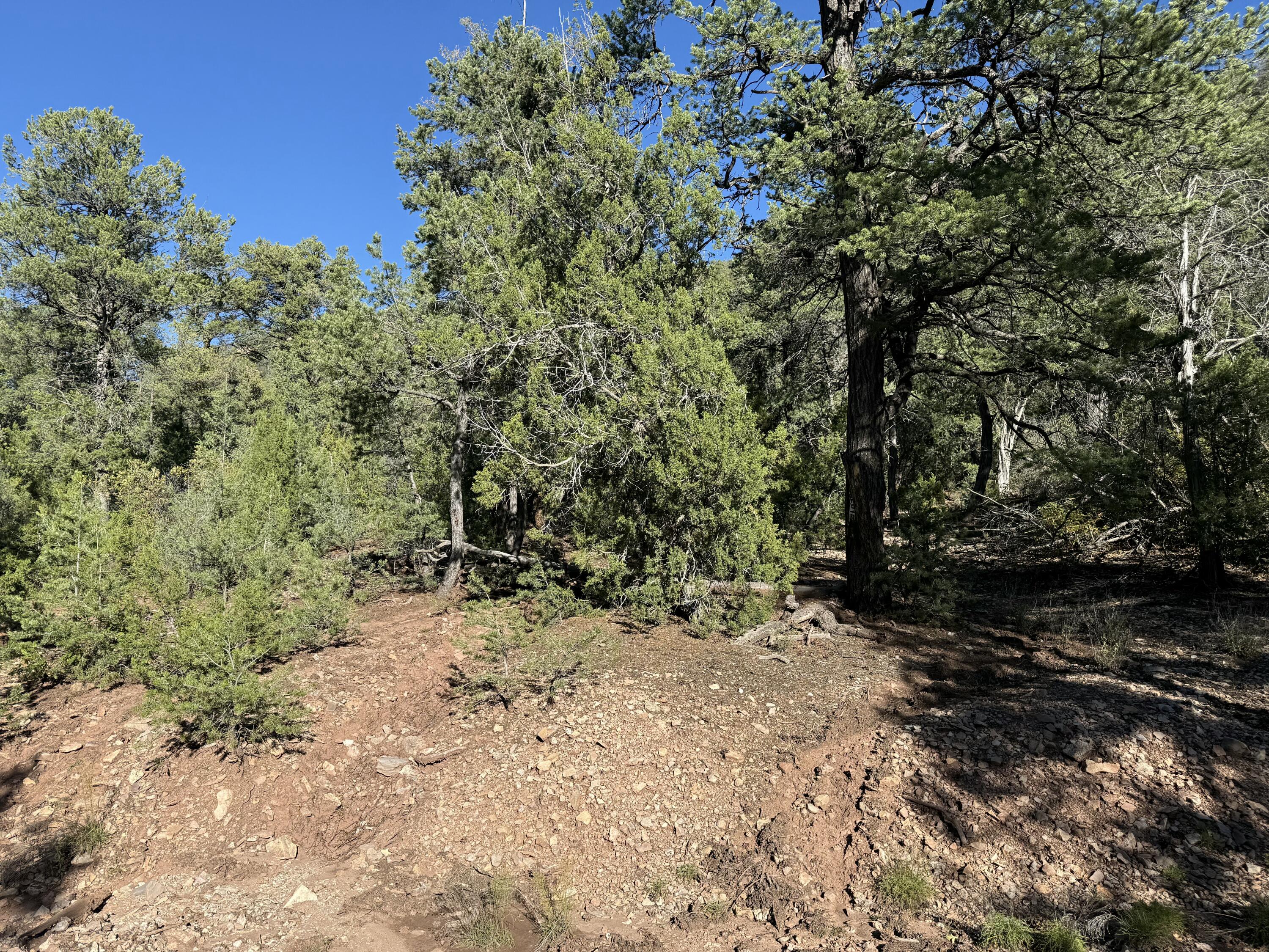 Homes for sale in Jemez Springs, NM | Fir Pl, Jemez Springs, NM 87025 | MLS# 1093348