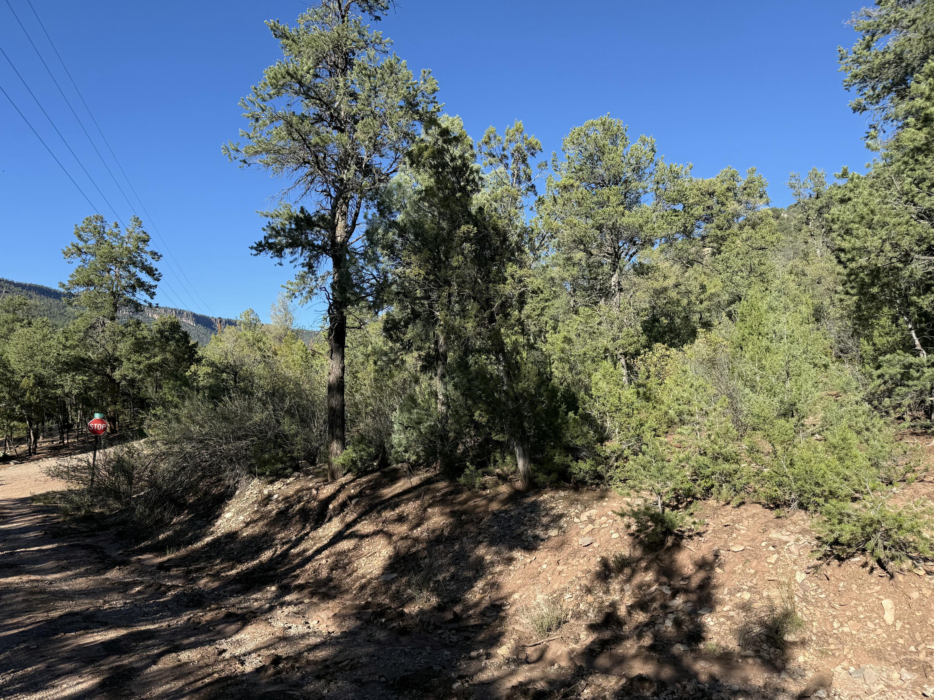 Homes for sale in Jemez Springs, NM | Fir Pl, Jemez Springs, NM 87025 | MLS# 1093348