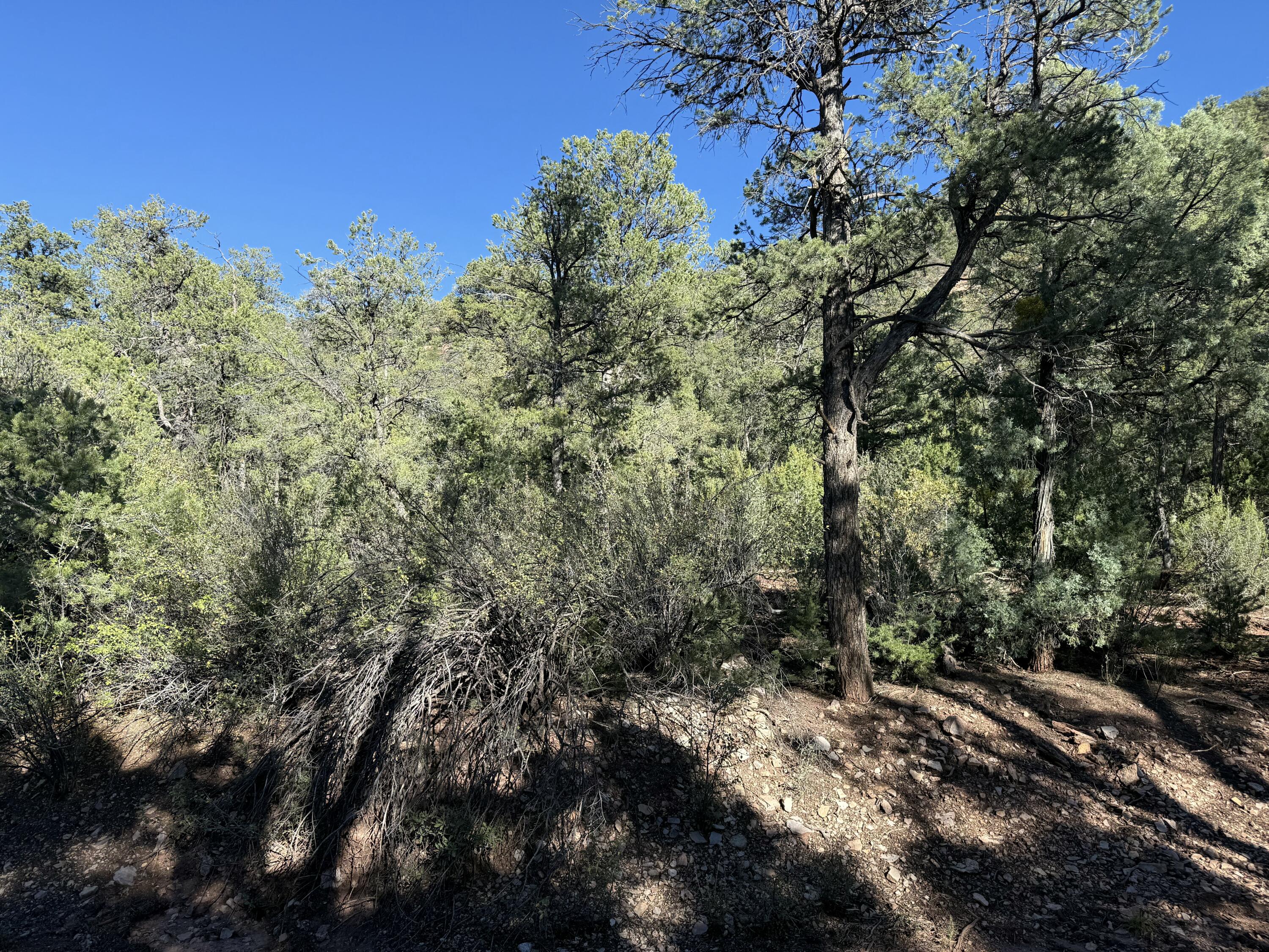 Homes for sale in Jemez Springs, NM | Fir Pl, Jemez Springs, NM 87025 | MLS# 1093348