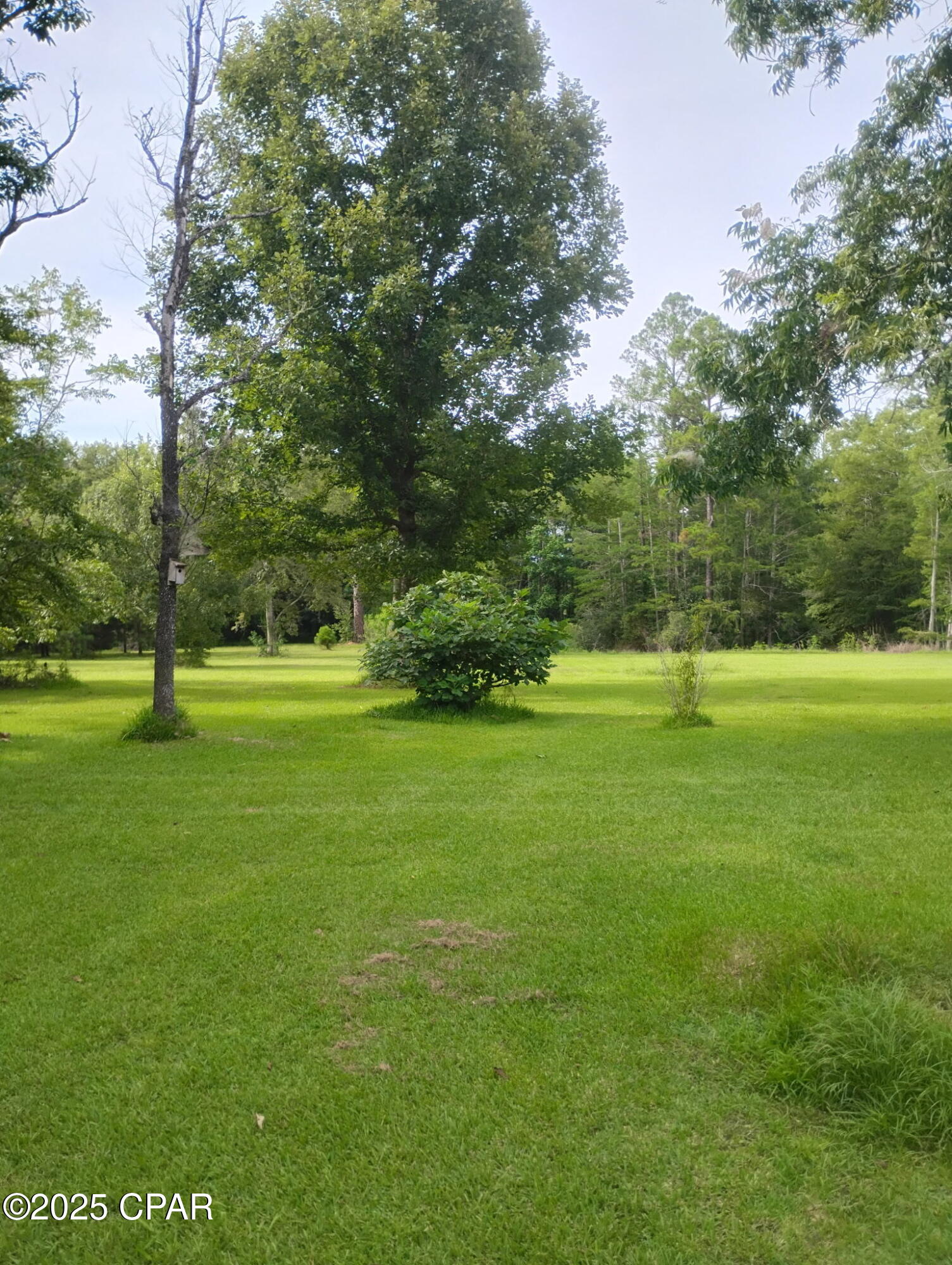 Image 10 For 0000 Hwy 77  