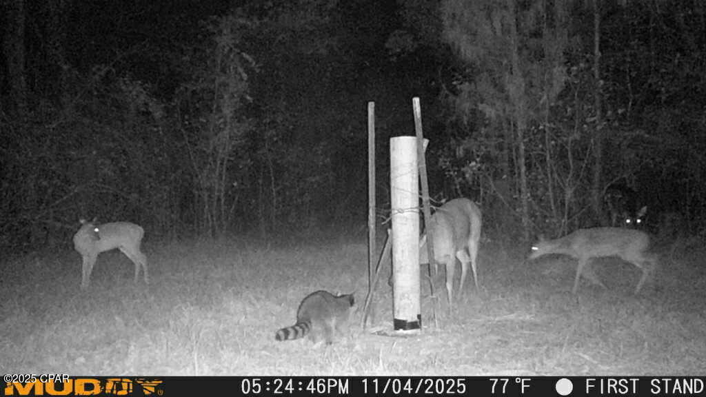 Image 11 For 0000 Hwy 77  