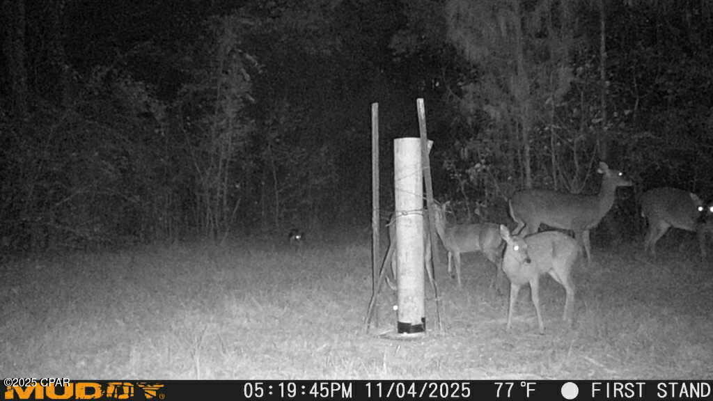 Image 12 For 0000 Hwy 77  