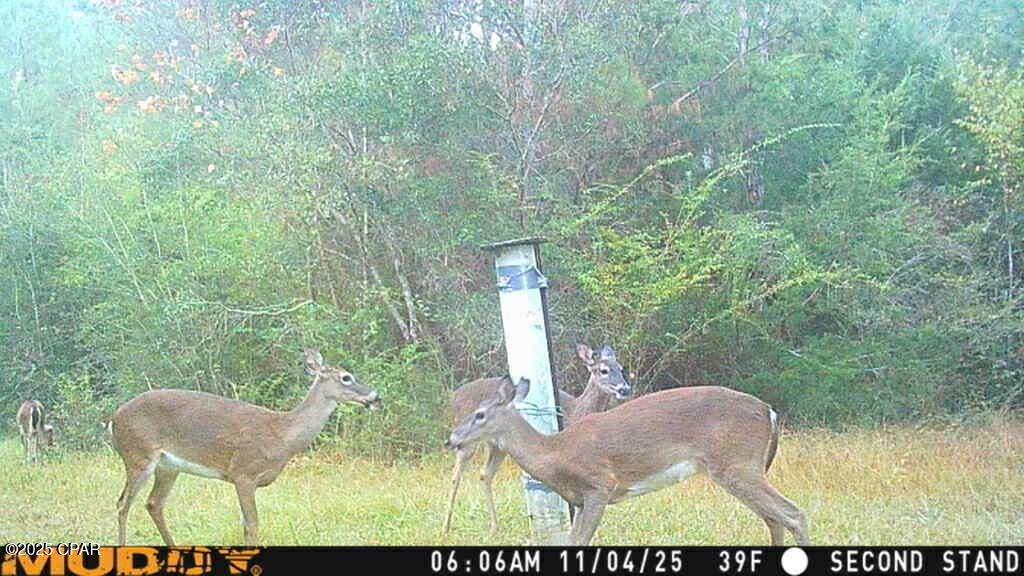 Image 13 For 0000 Hwy 77  