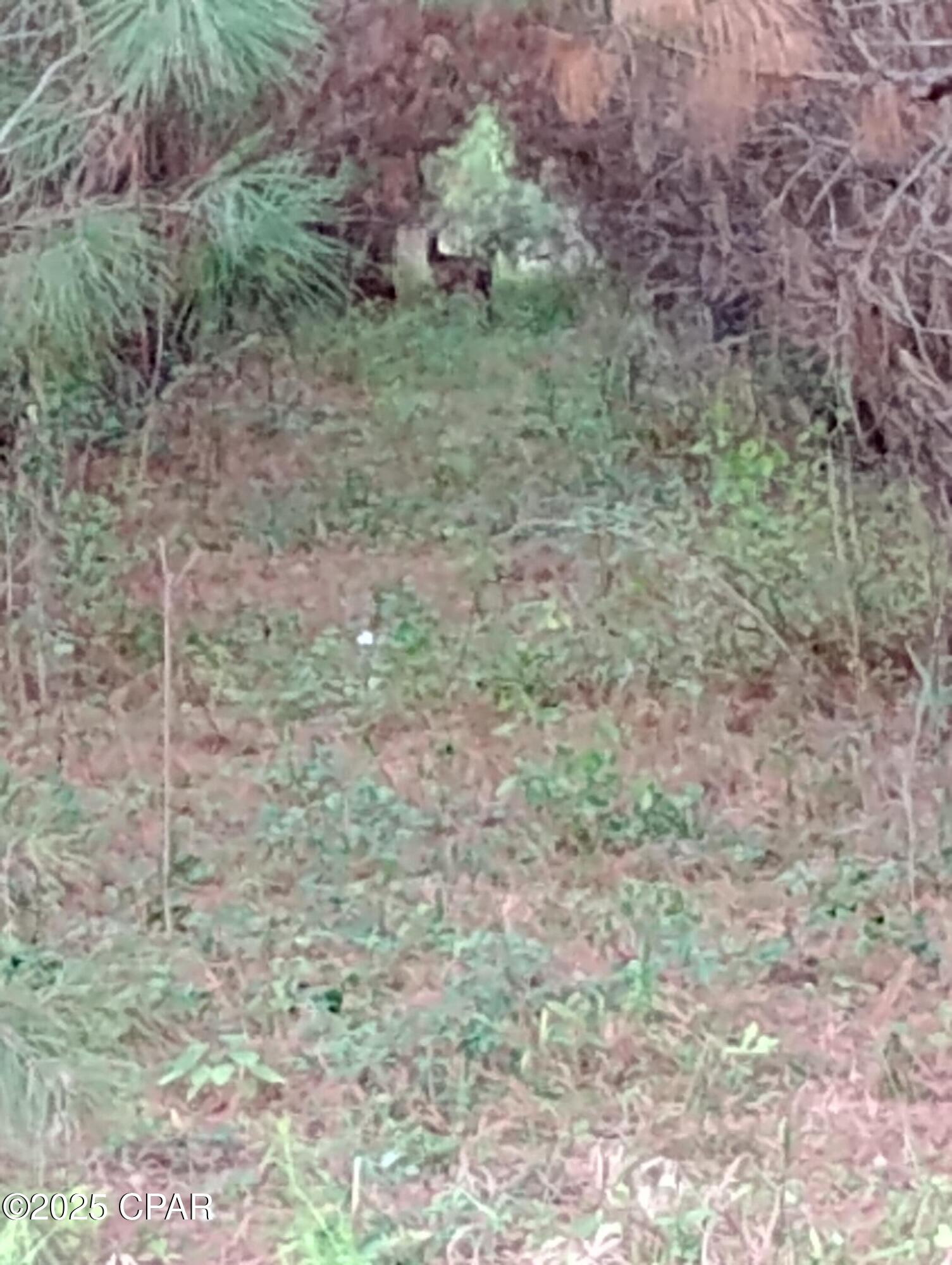 Image 14 For 0000 Hwy 77  