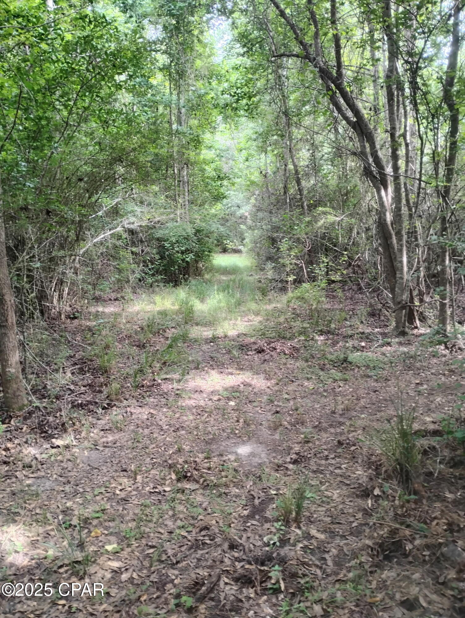 Image 2 For 0000 Hwy 77  