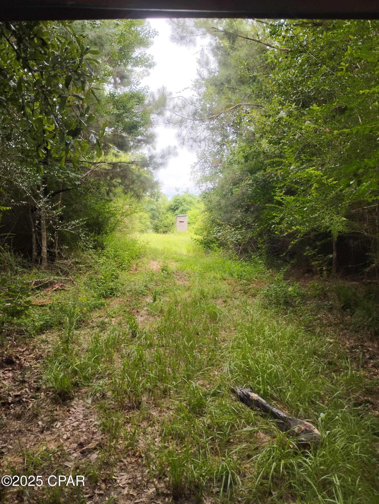 Image 3 For 0000 Hwy 77  