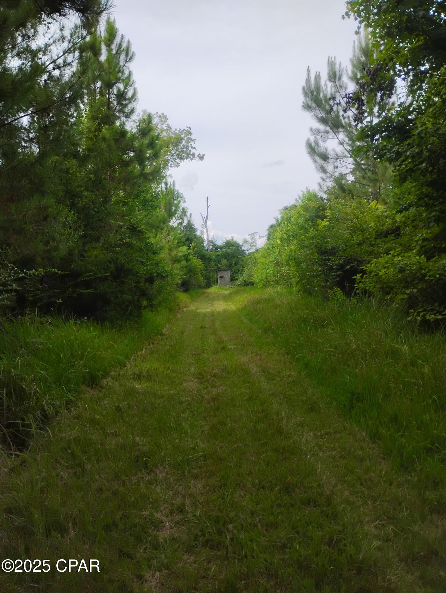 Image 4 For 0000 Hwy 77  