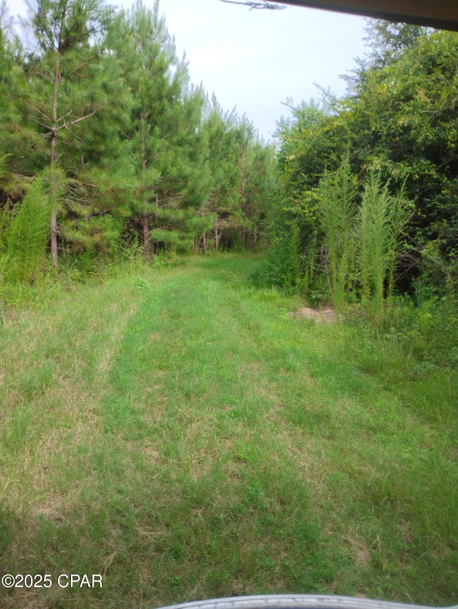 Image 8 For 0000 Hwy 77  