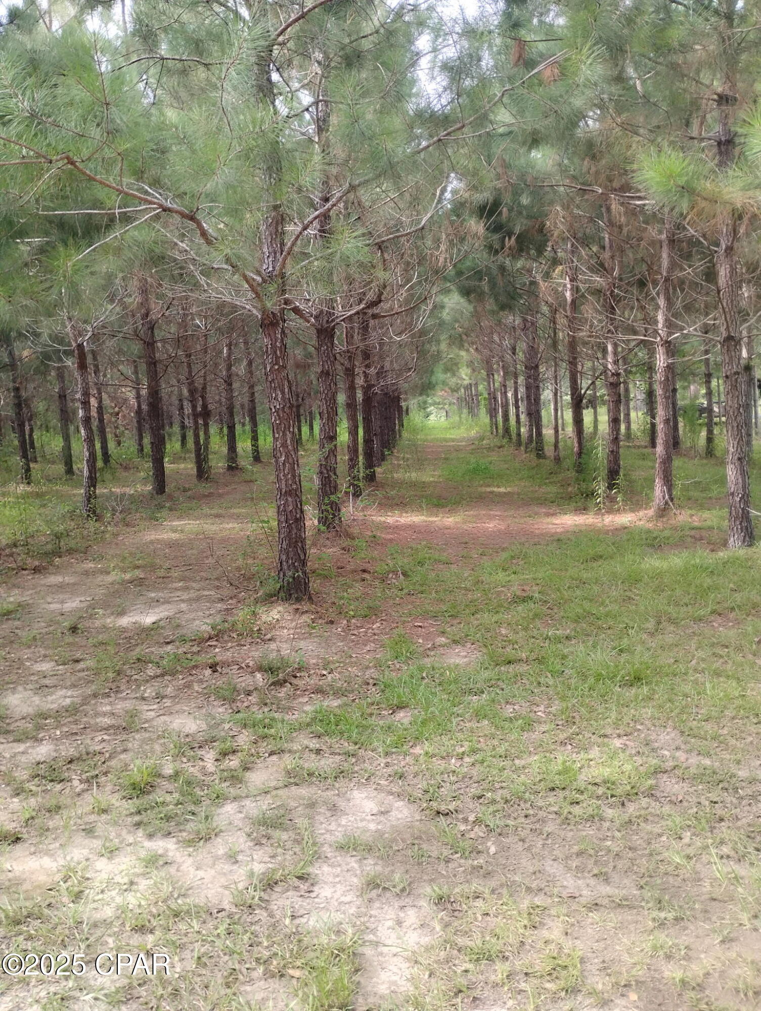 Image 9 For 0000 Hwy 77  