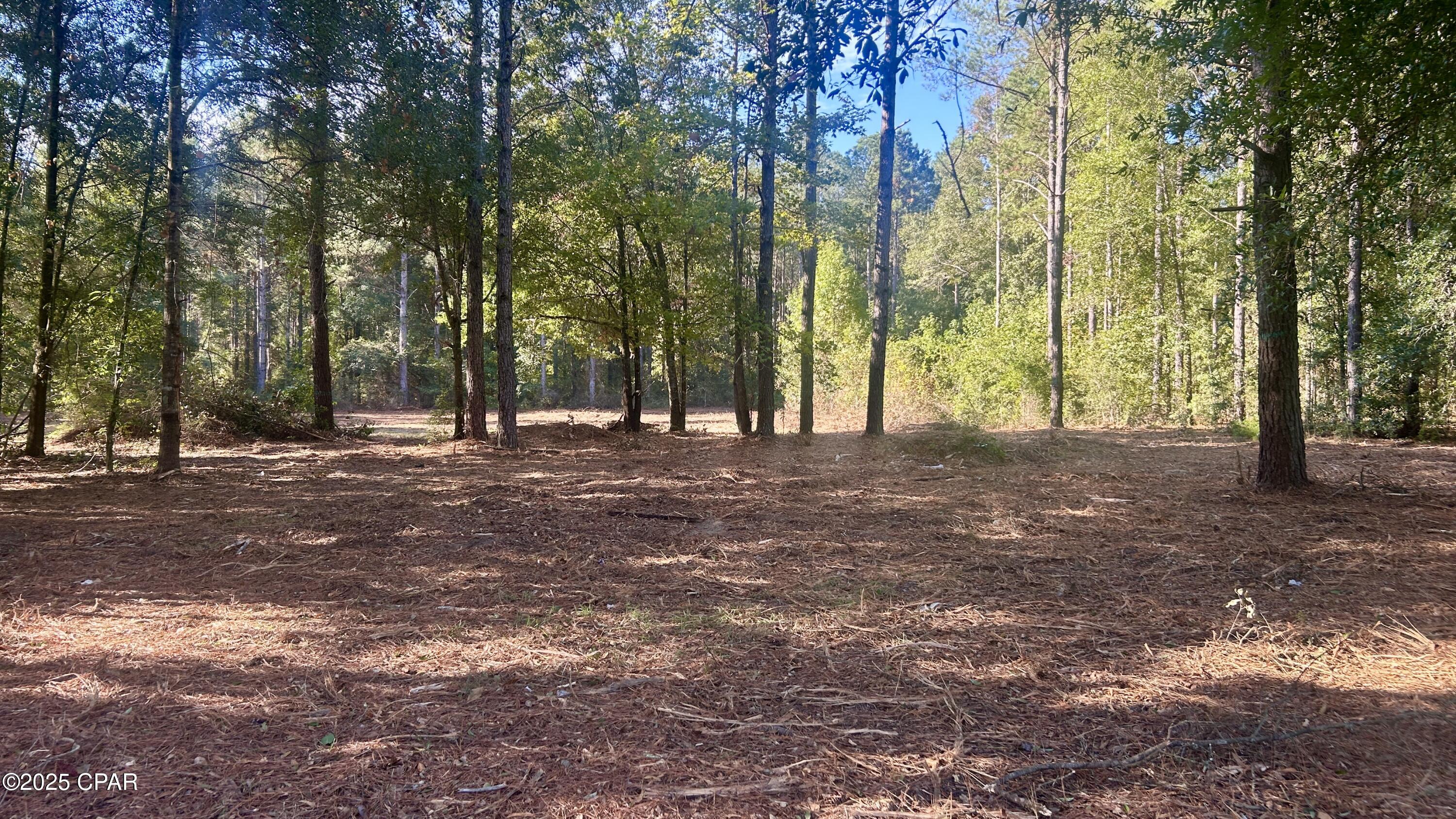 Image 10 For 0 Flowersview Boulevard