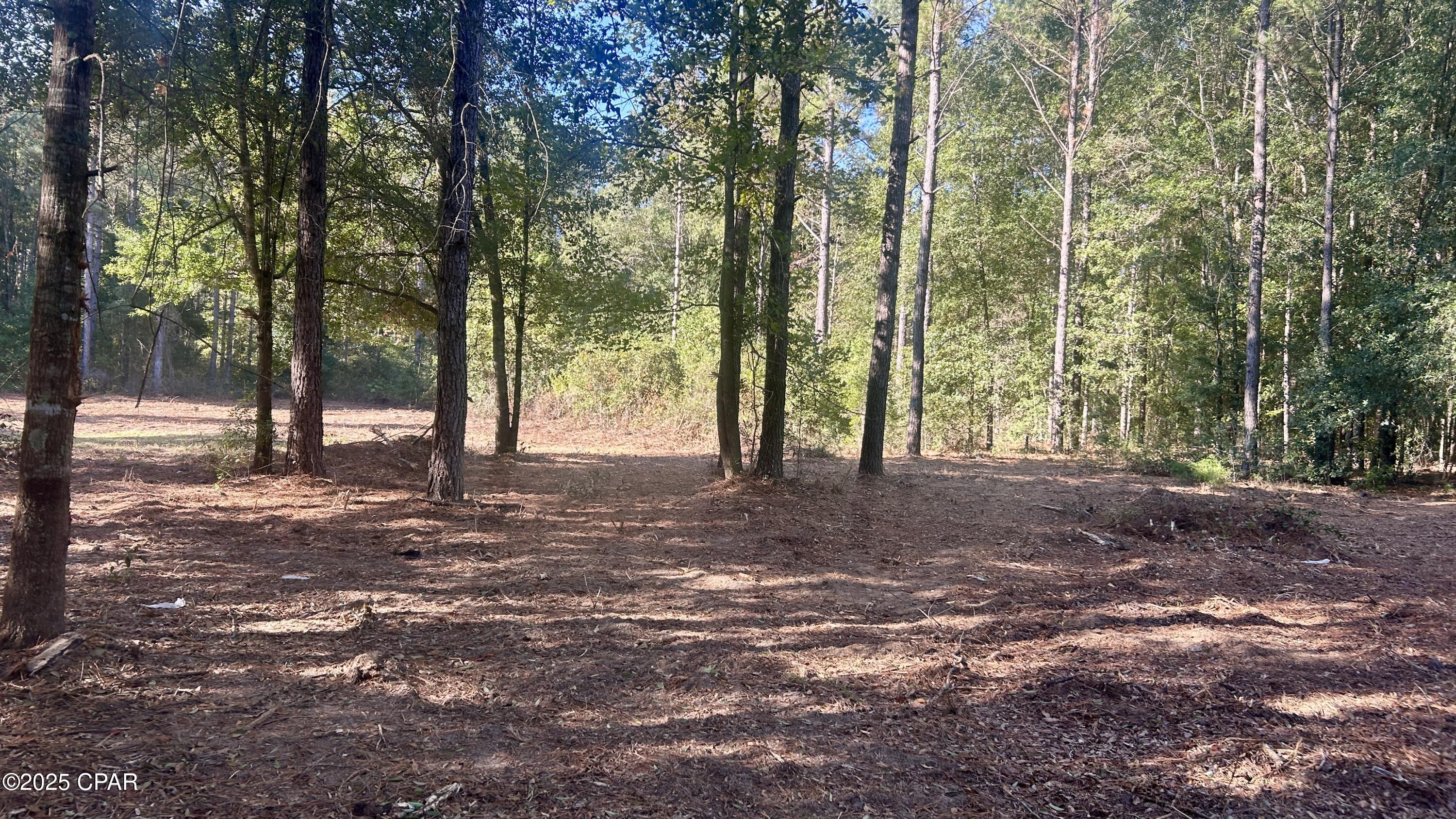 Image 11 For 0 Flowersview Boulevard