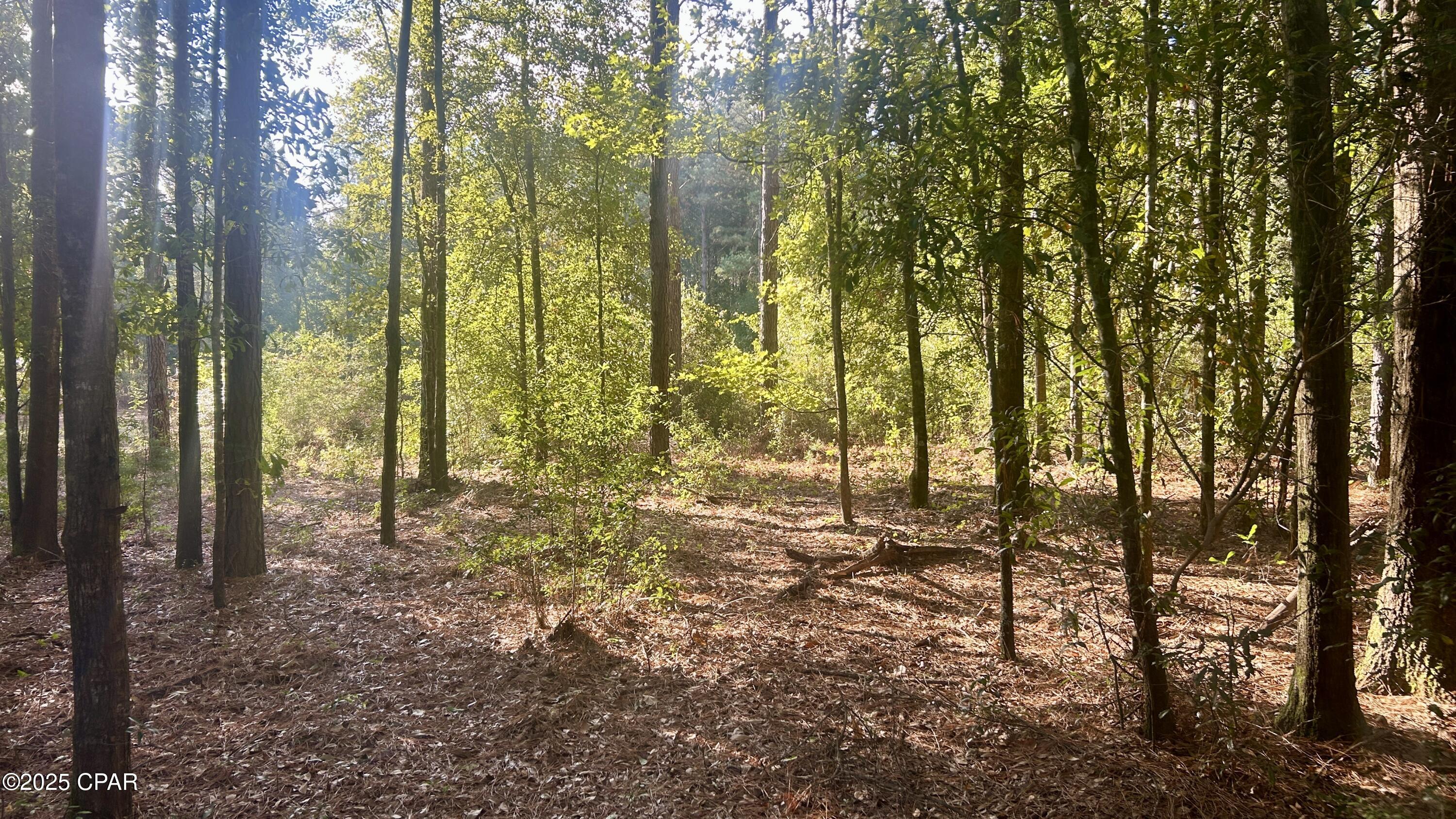 Image 12 For 0 Flowersview Boulevard