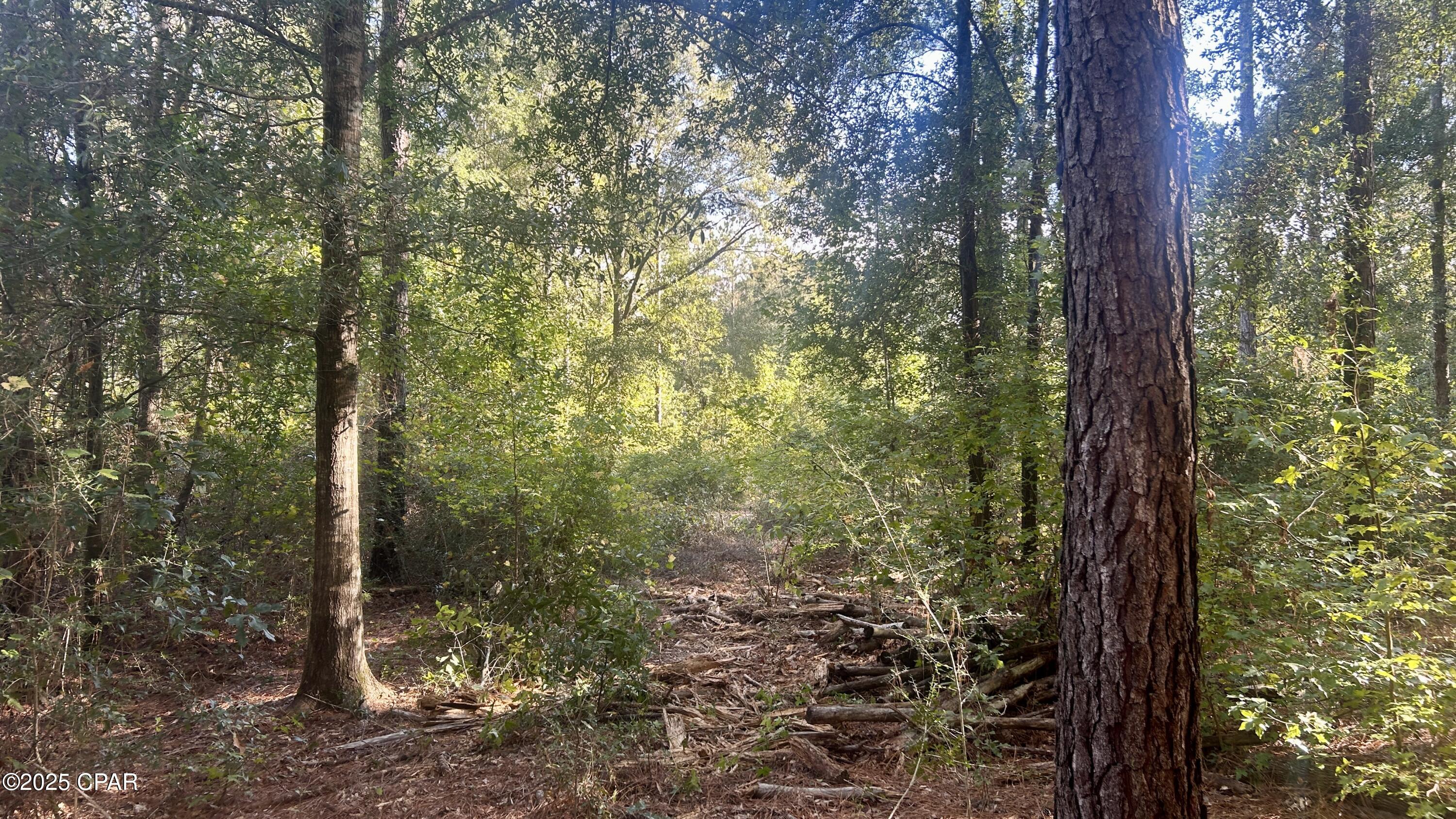 Image 13 For 0 Flowersview Boulevard