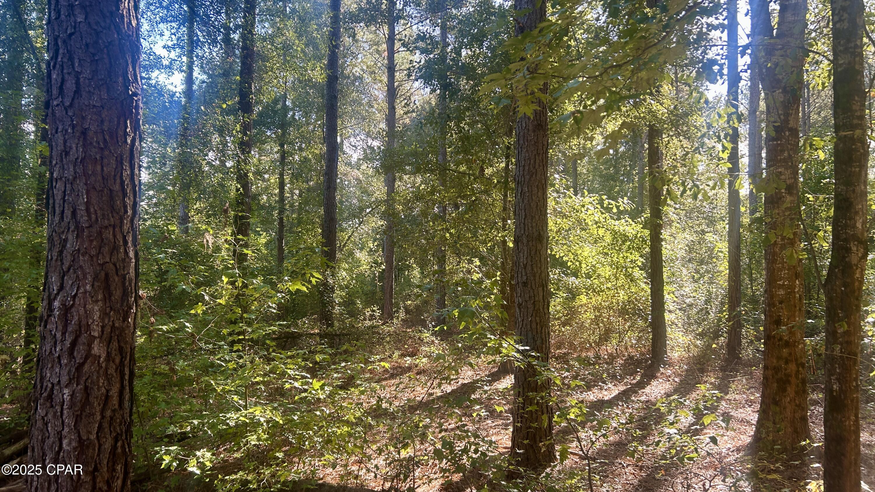 Image 14 For 0 Flowersview Boulevard