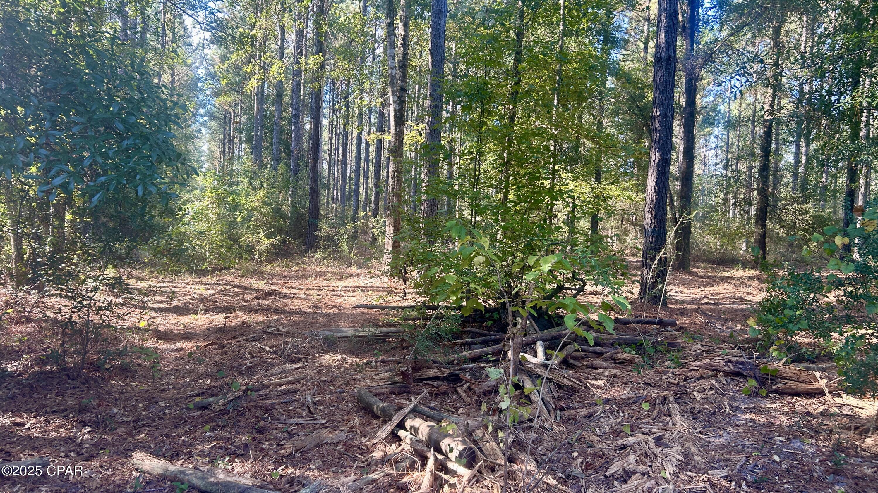 Image 15 For 0 Flowersview Boulevard