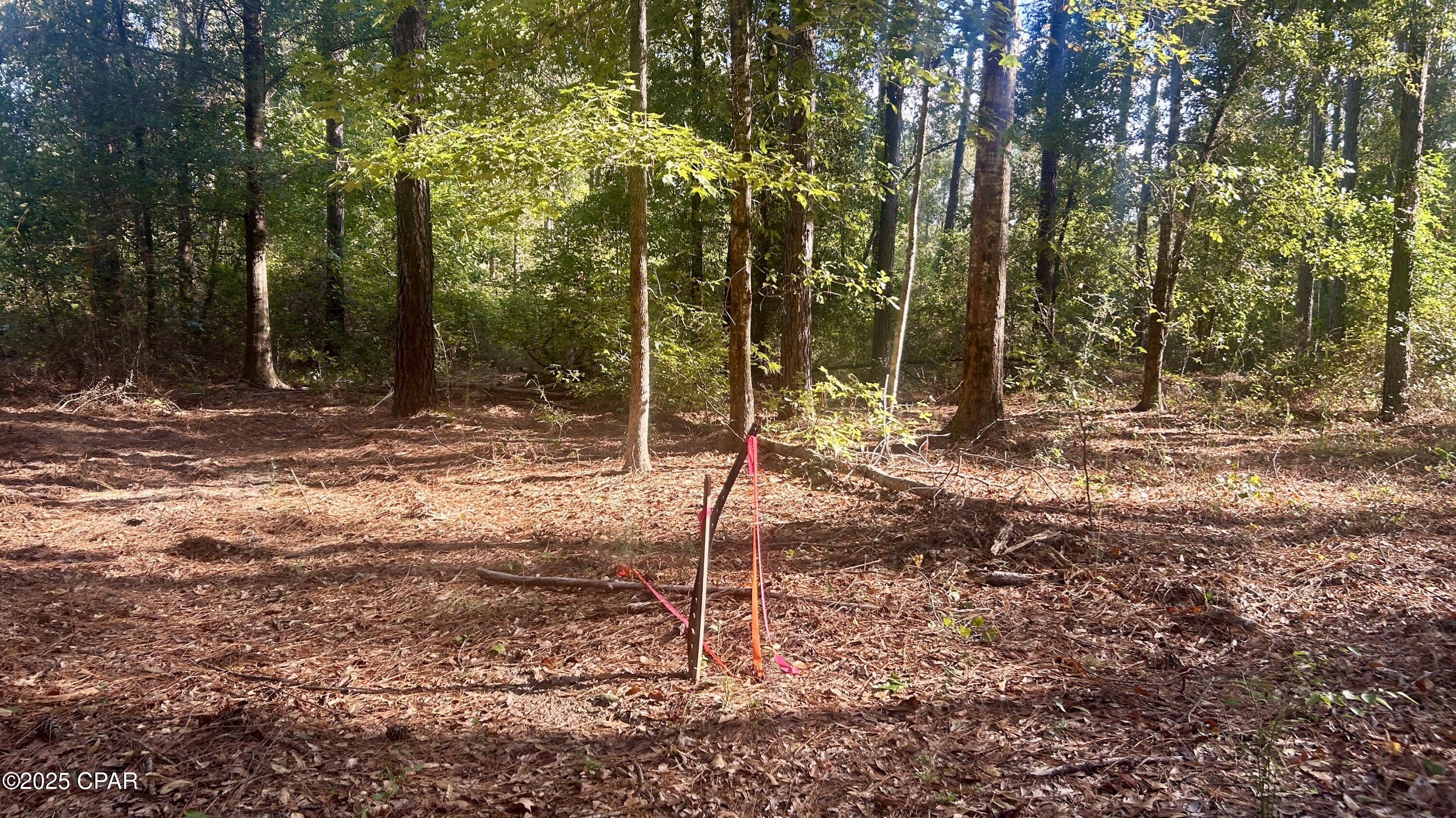 Image 16 For 0 Flowersview Boulevard