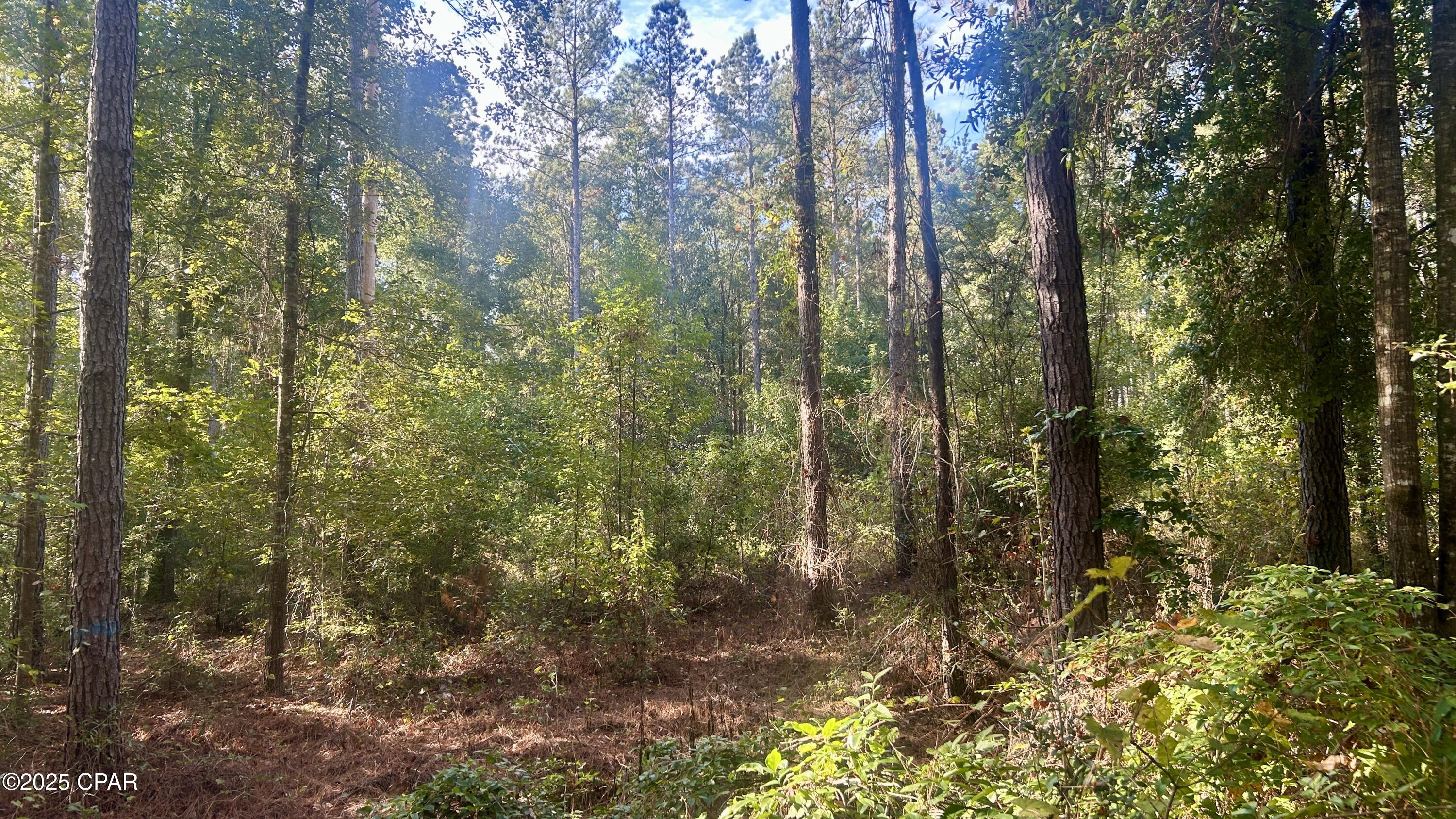 Image 17 For 0 Flowersview Boulevard