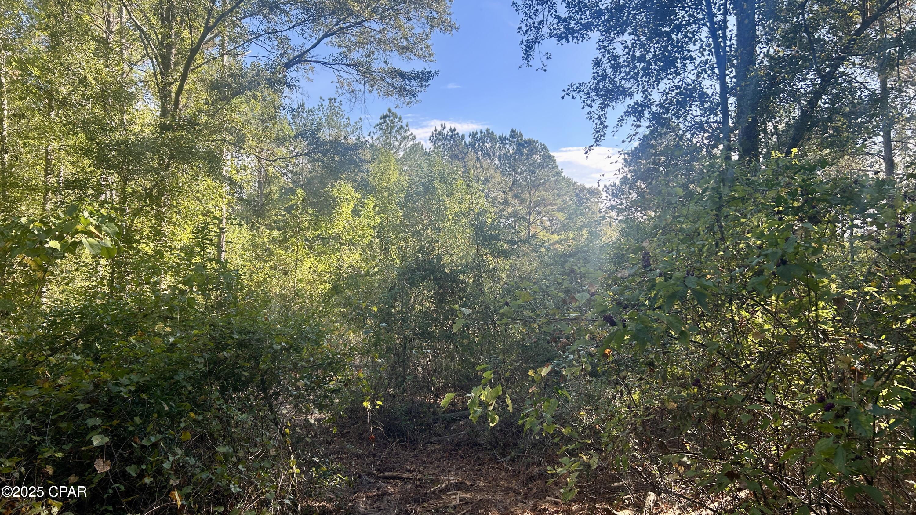 Image 18 For 0 Flowersview Boulevard