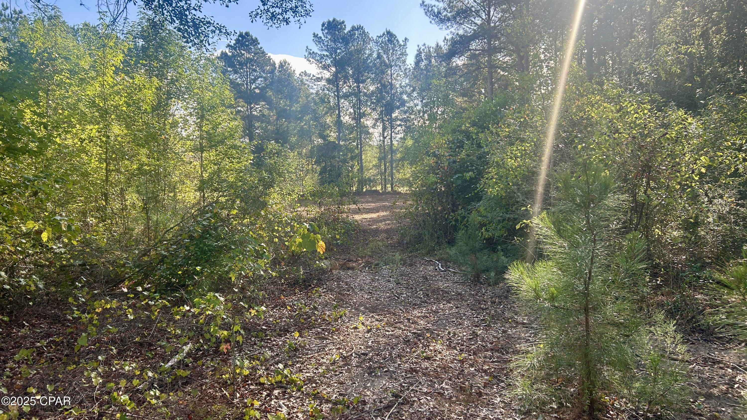 Image 19 For 0 Flowersview Boulevard