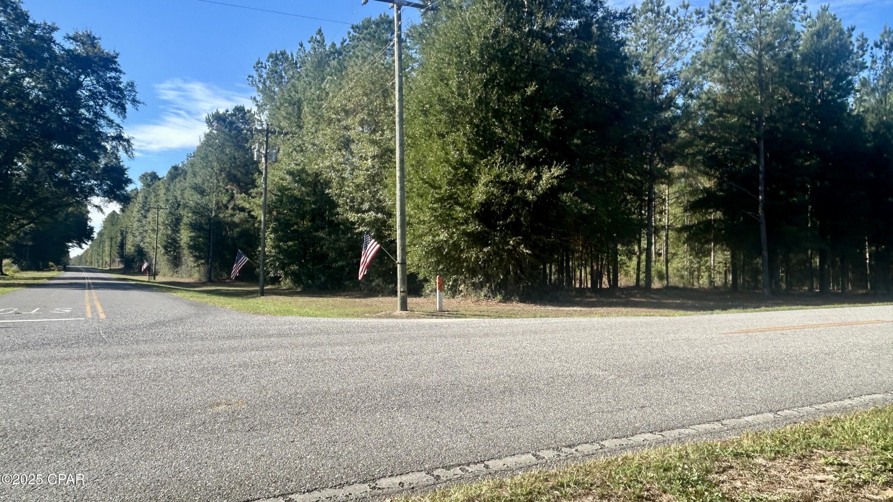3rd image of 0 Flowersview Blvd, Laurel Hill, FL 32567 | MLS# 780747