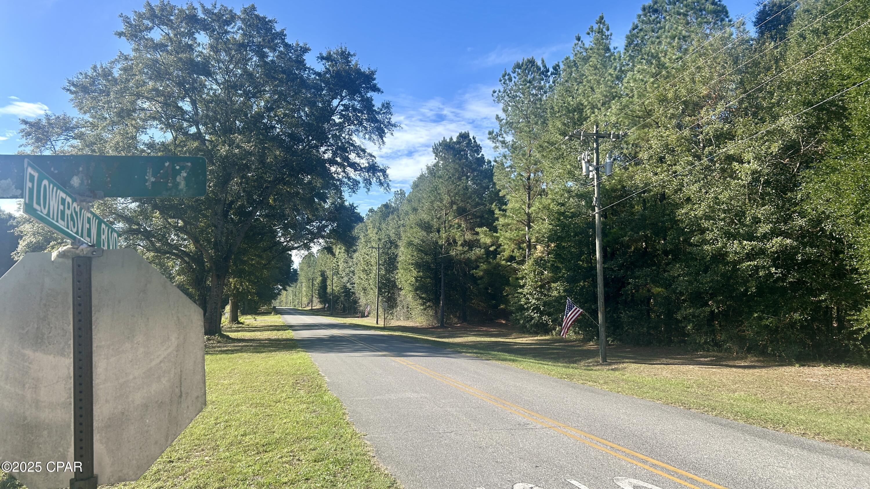 4th image of 0 Flowersview Blvd, Laurel Hill, FL 32567 | MLS# 780747