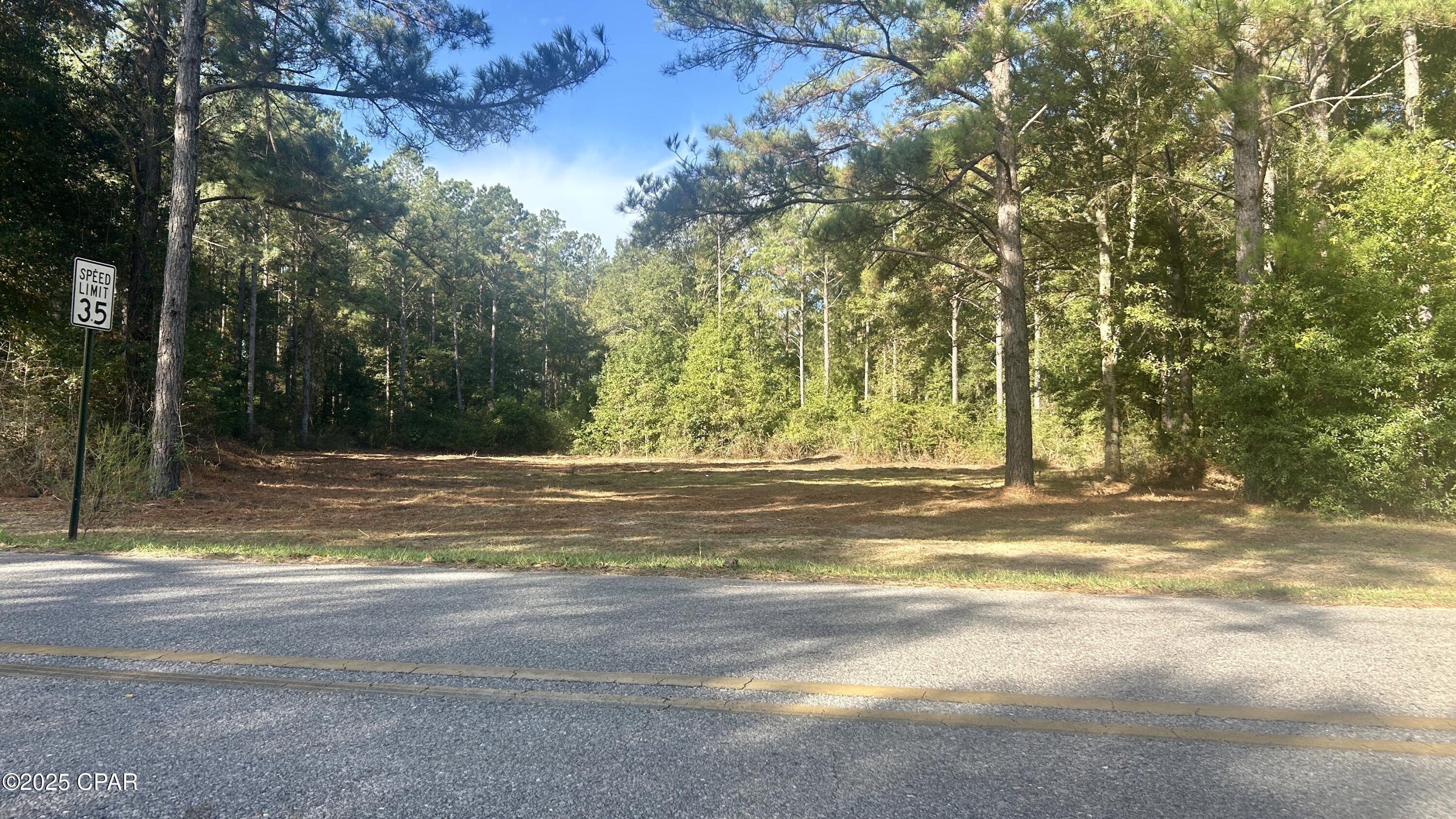 5th image of 0 Flowersview Blvd, Laurel Hill, FL 32567 | MLS# 780747