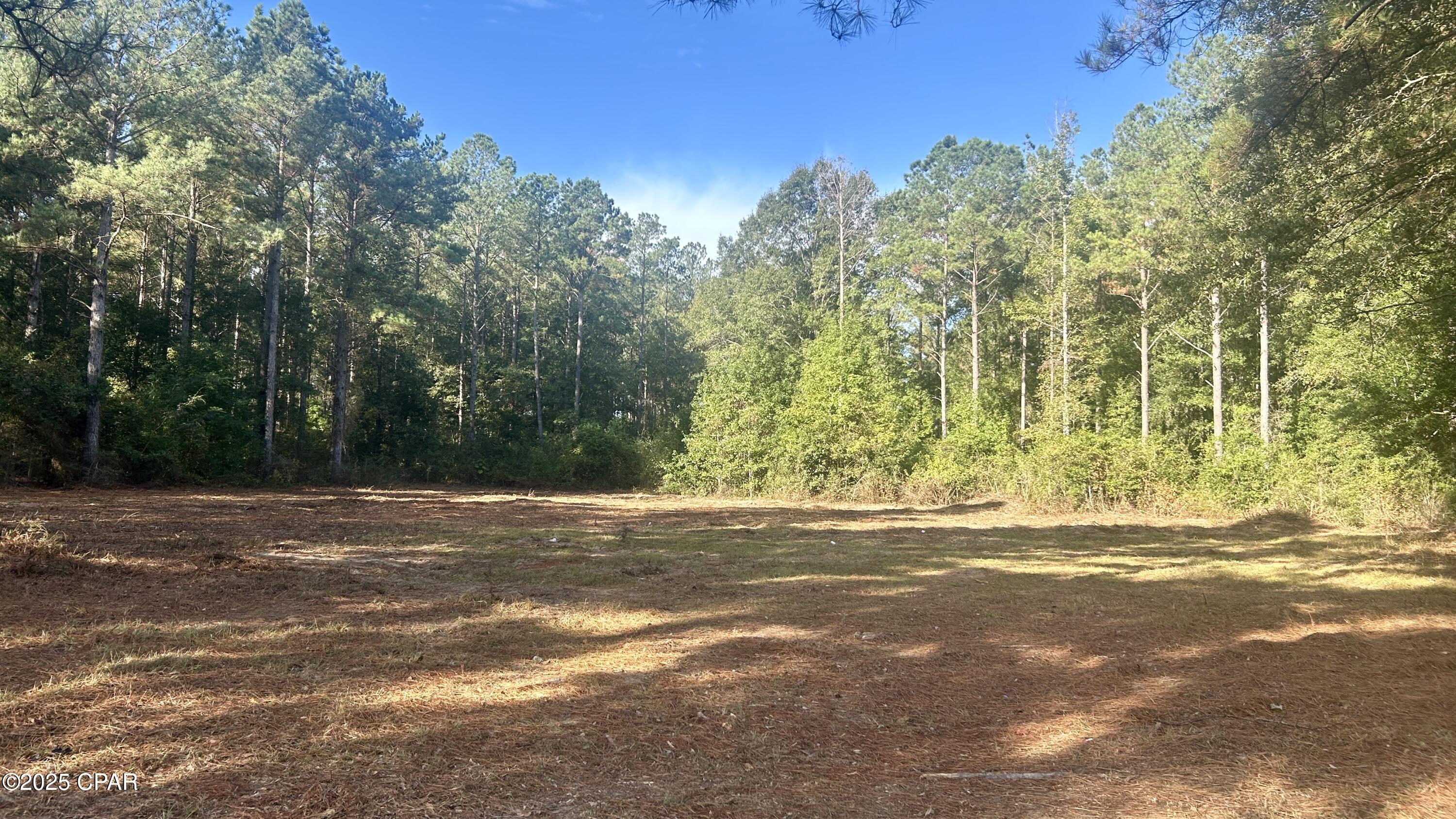 Image 6 For 0 Flowersview Boulevard