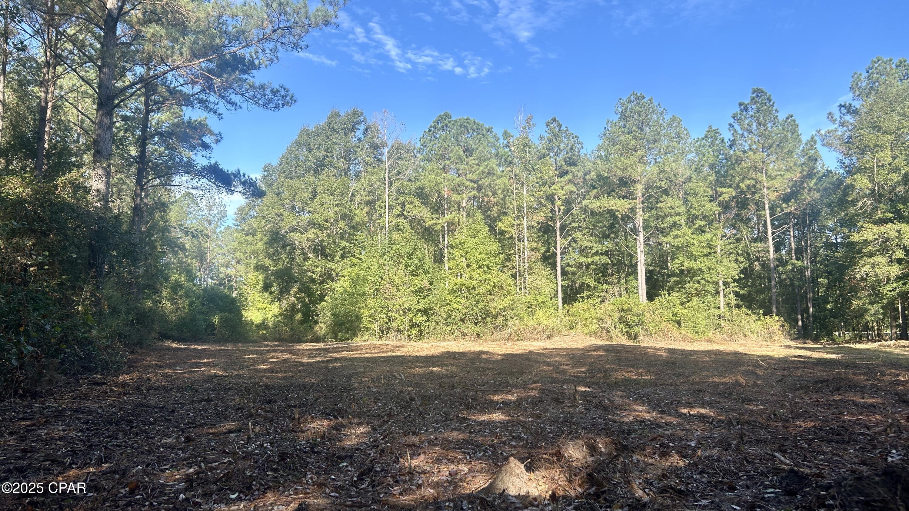 Image 7 For 0 Flowersview Boulevard