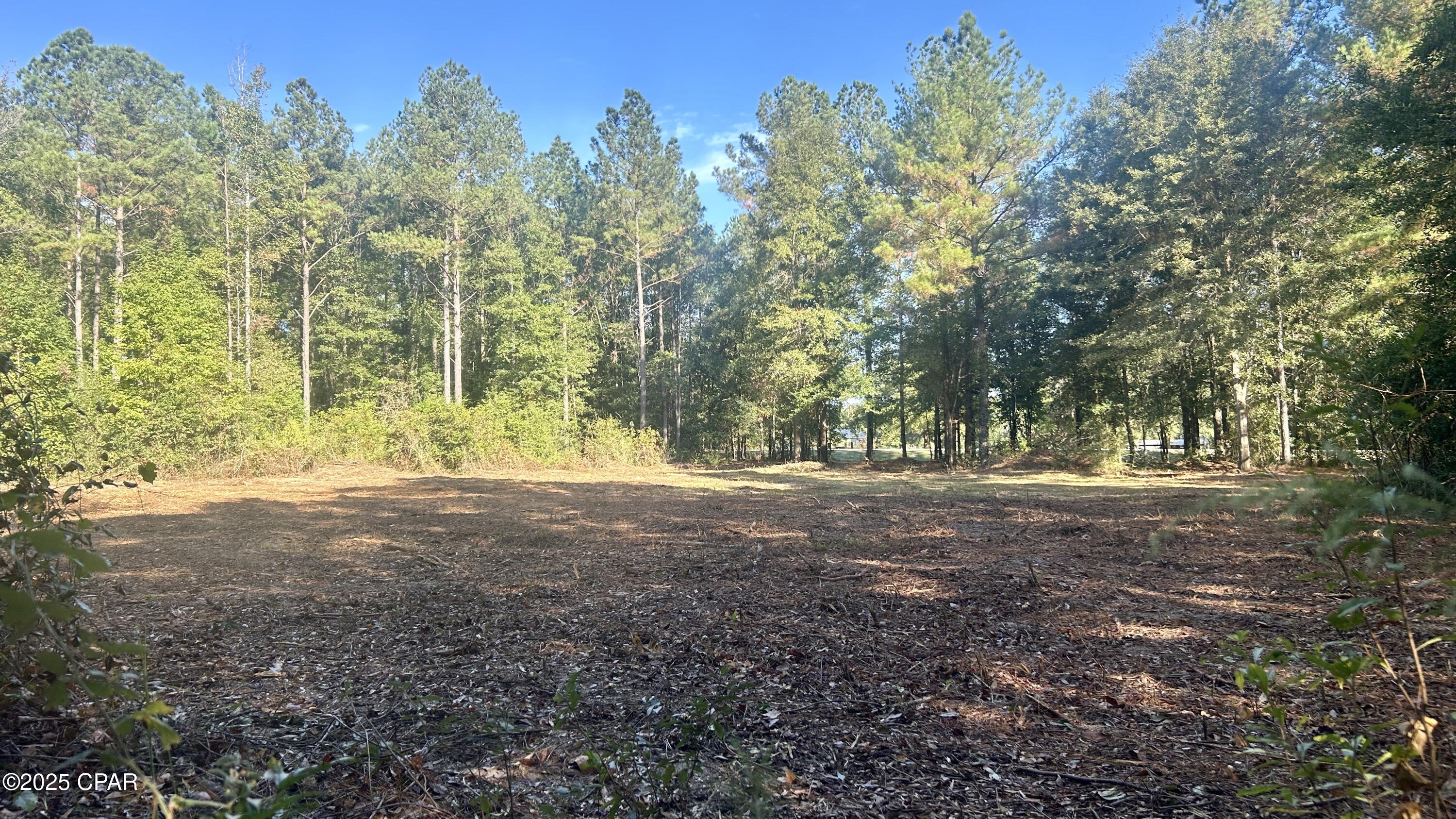 Image 8 For 0 Flowersview Boulevard