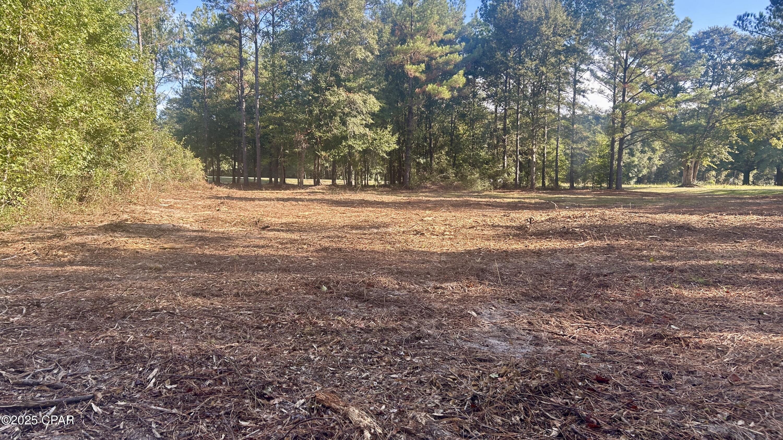 Image 9 For 0 Flowersview Boulevard