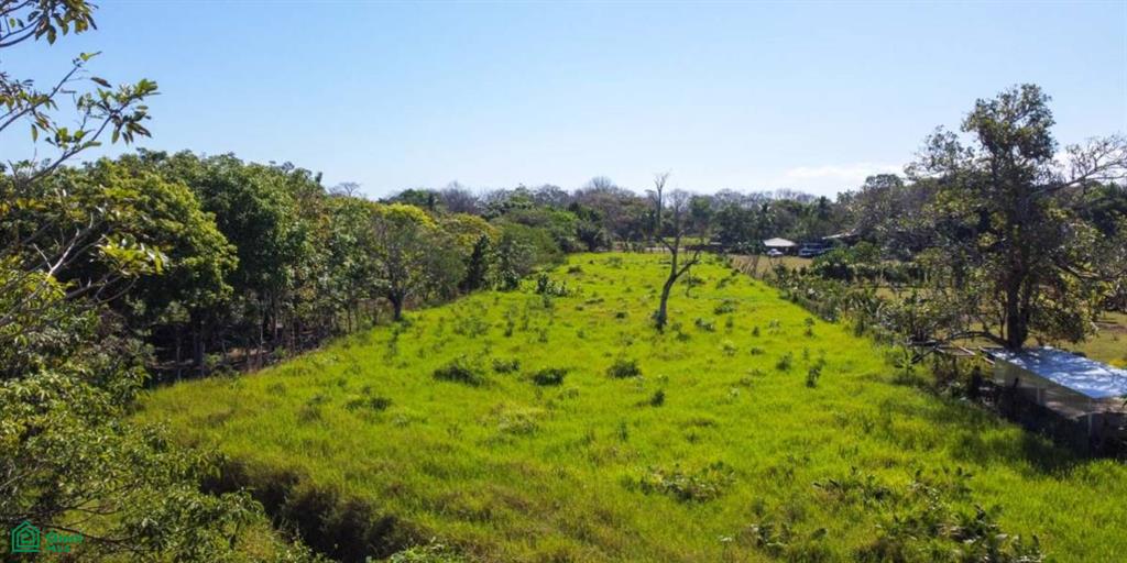 0 bed Land For Sale in Puntarenas, Puntarenas - 1